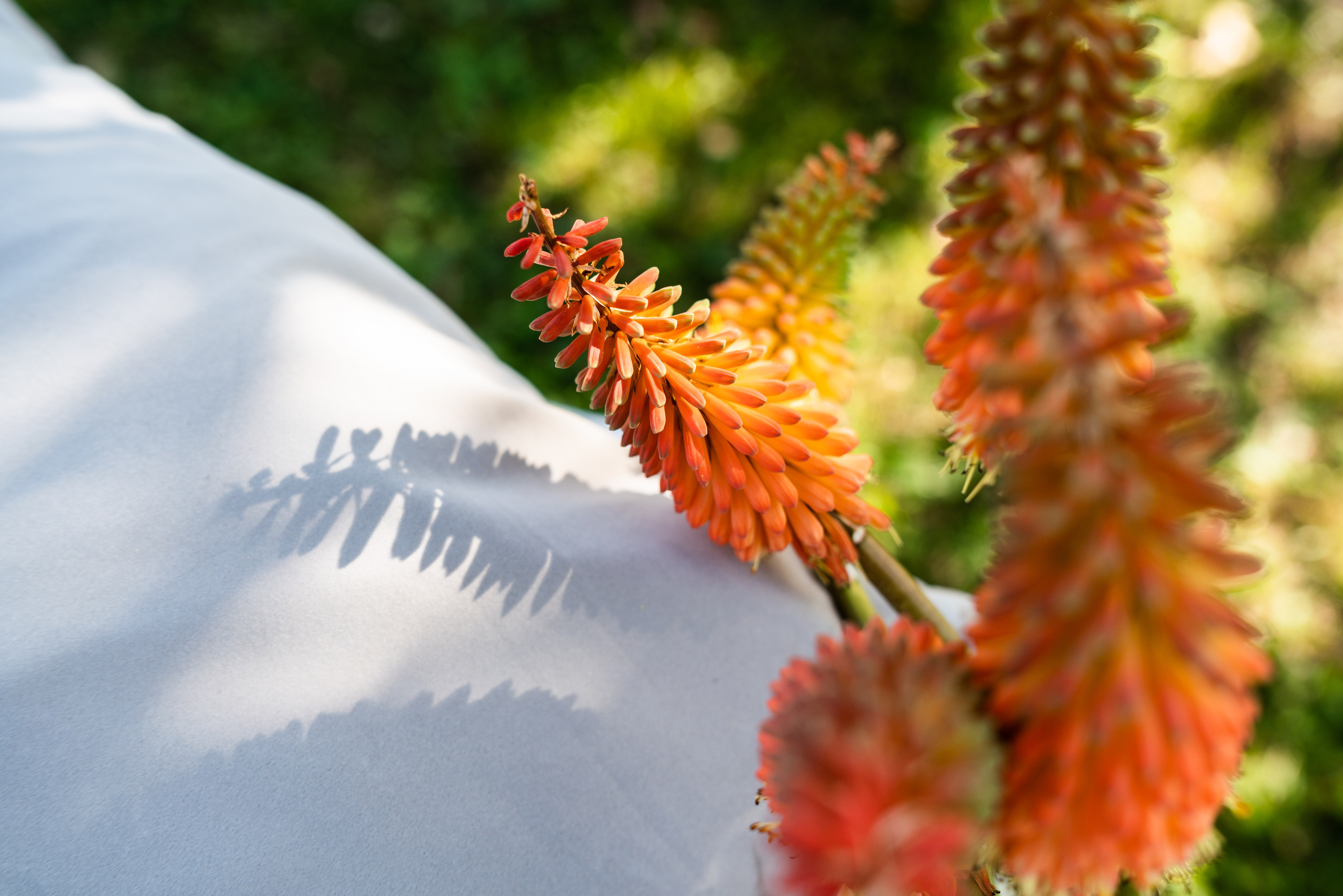 Kāzas viesu namā «Rezidence Kurzeme». ROLFS VENDIŅŠ - KĀZU FOTOGRĀFS | Rīgā un visā Latvijā