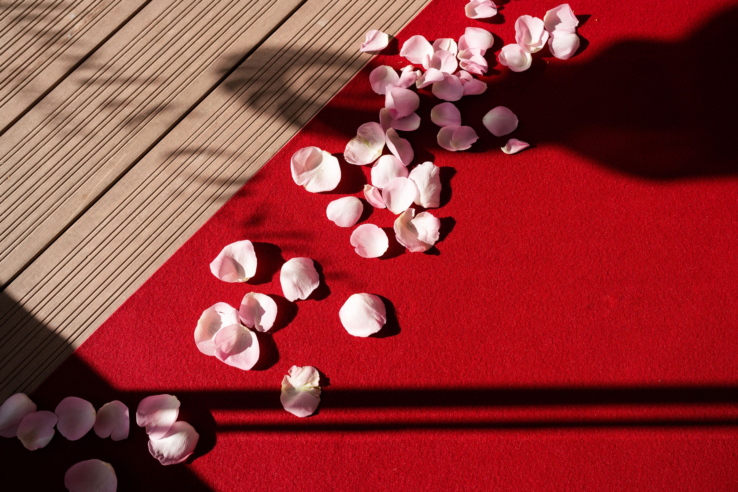 Kāzas Jūrmalā «Baltic Beach Hotel & SPA». ROLFS VENDIŅŠ - KĀZU FOTOGRĀFS | Rīgā un visā Latvijā