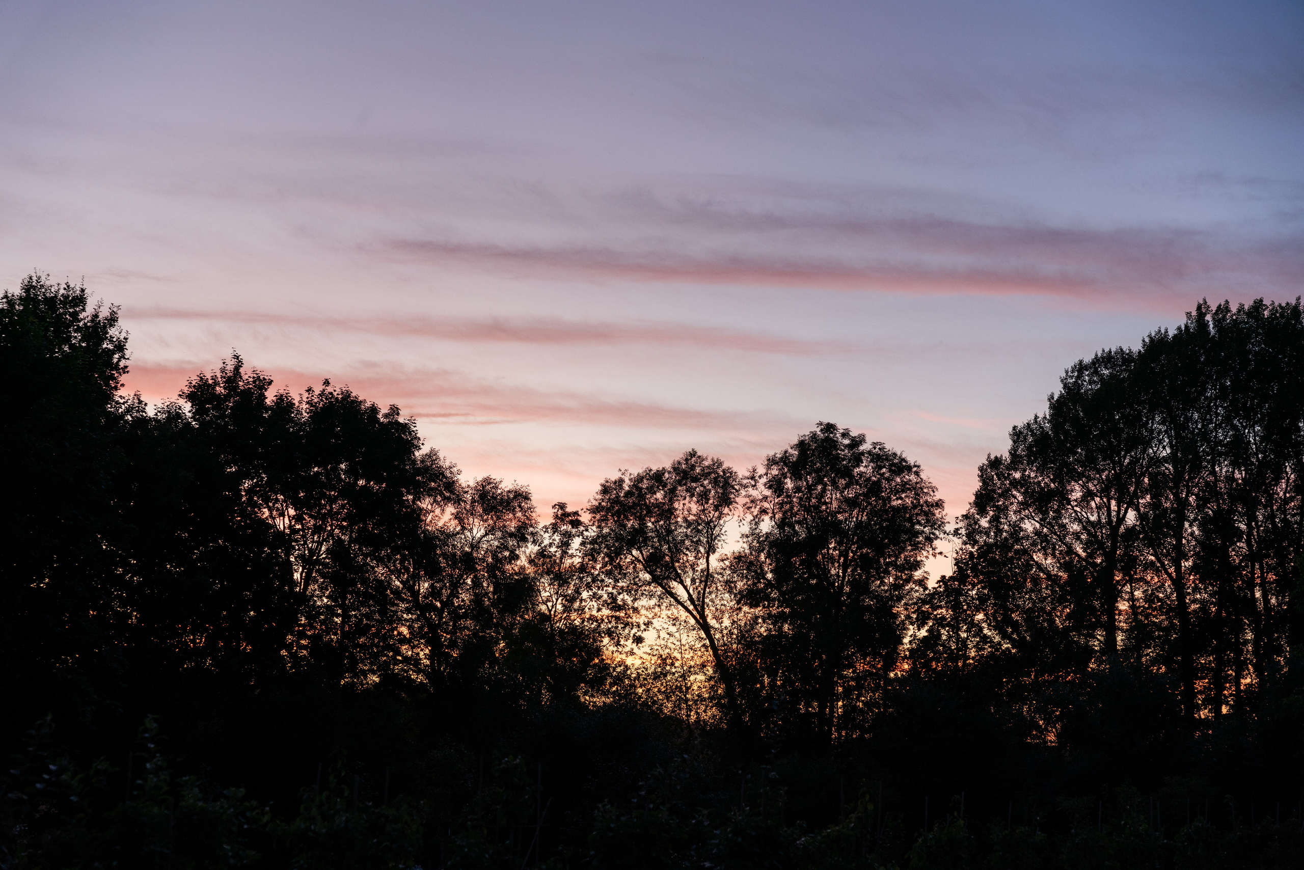 Kāzas Abgunstes muižā. ROLFS VENDIŅŠ - KĀZU FOTOGRĀFS | Rīgā un visā Latvijā