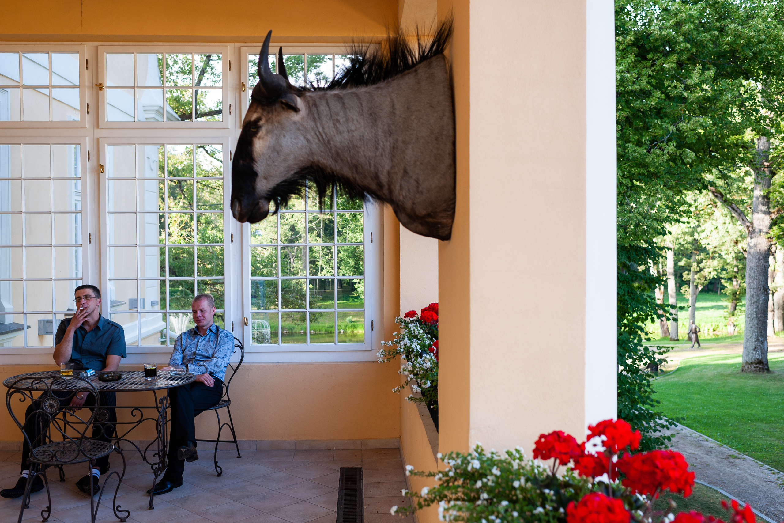 Kāzas Mālpils muižā. ROLFS VENDIŅŠ - KĀZU FOTOGRĀFS | Rīgā un visā Latvijā