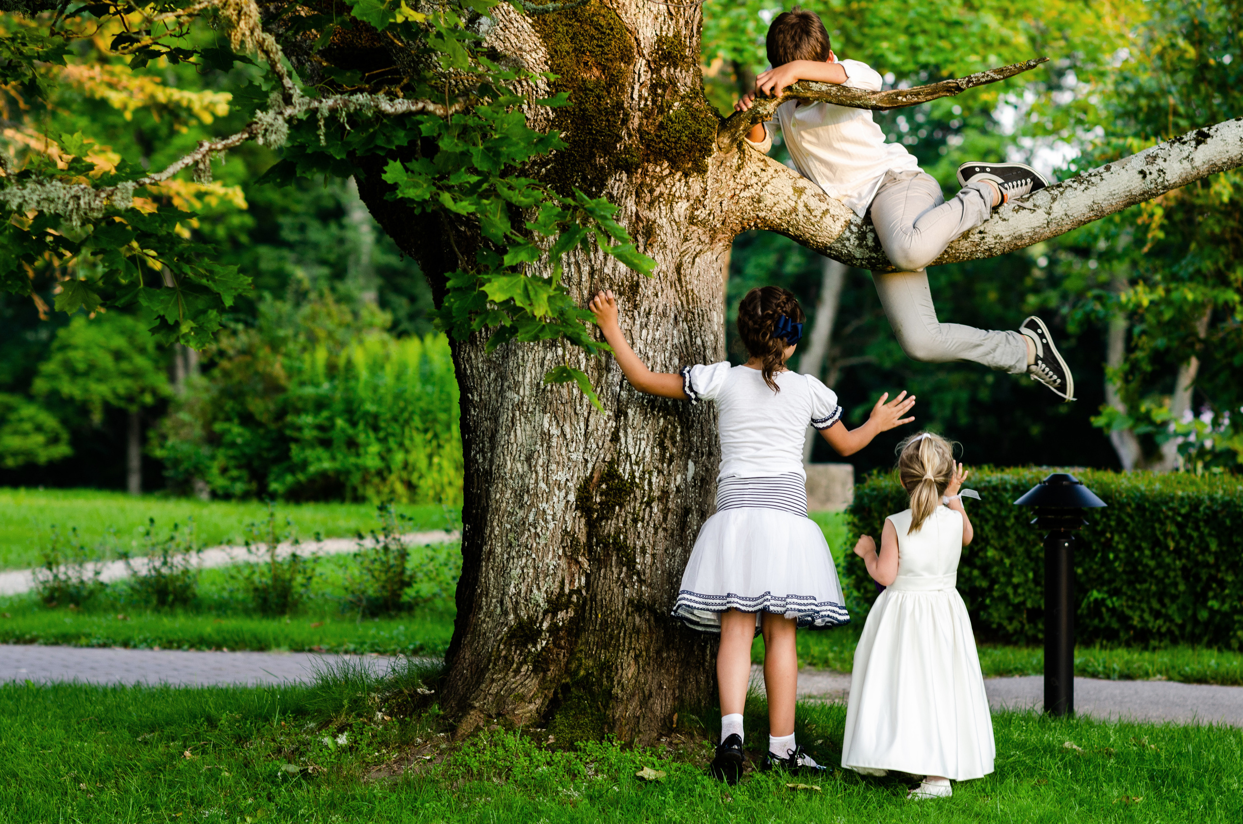Kāzas Dikļu pilī. ROLFS VENDIŅŠ - KĀZU FOTOGRĀFS | Rīgā un visā Latvijā