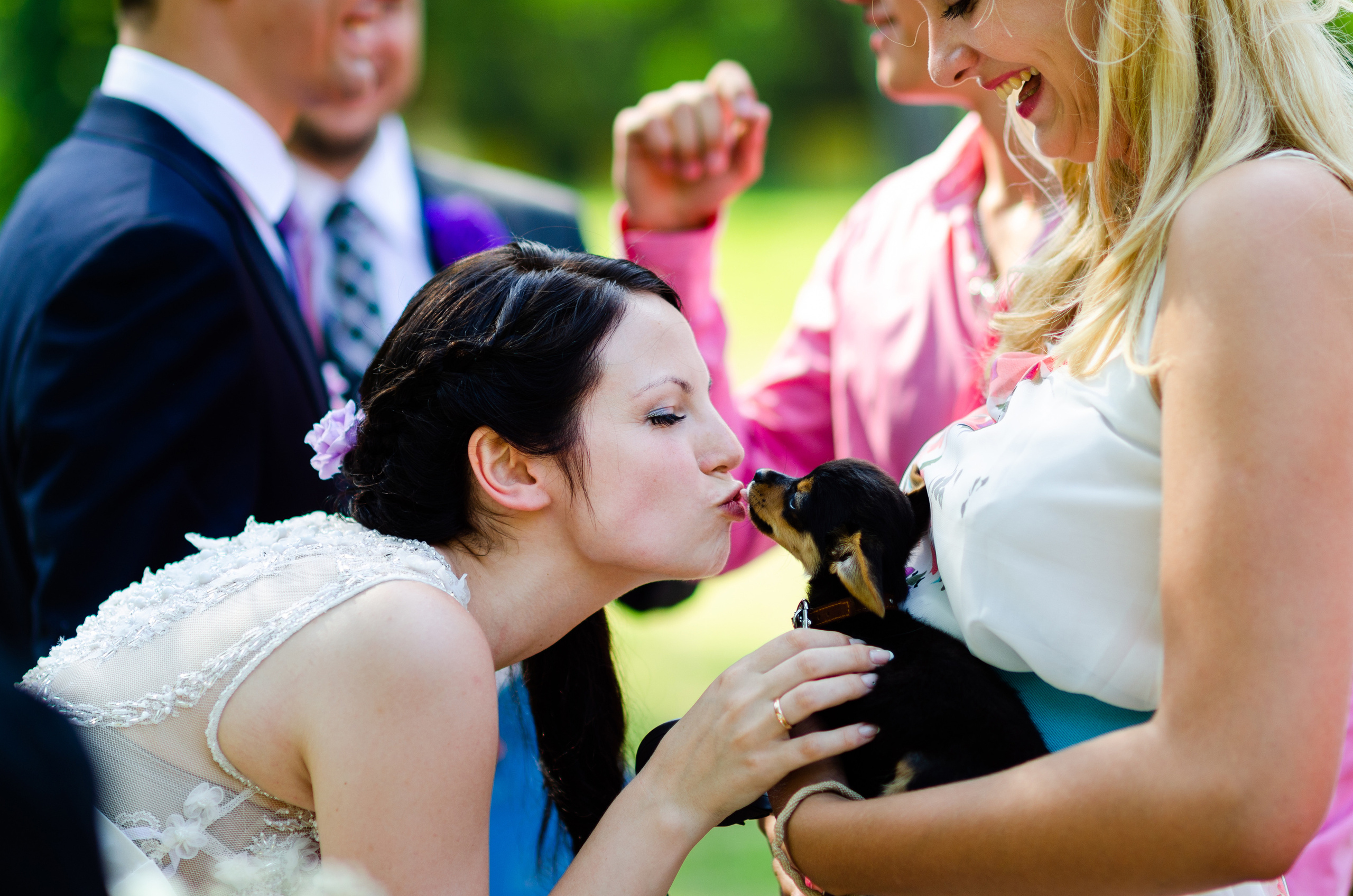 Kāzas Dikļu pilī. ROLFS VENDIŅŠ - KĀZU FOTOGRĀFS | Rīgā un visā Latvijā