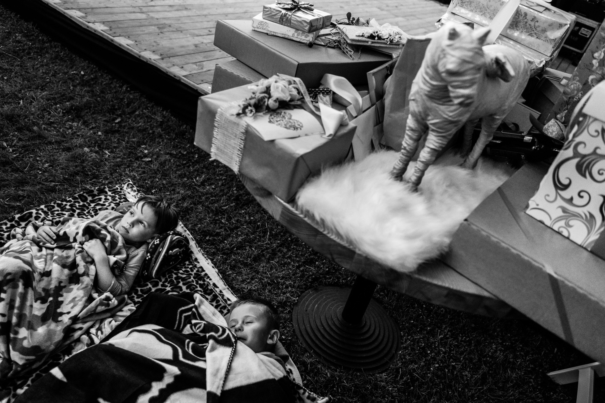 Kāzas lauku stilā. ROLFS VENDIŅŠ - KĀZU FOTOGRĀFS | Rīgā un visā Latvijā