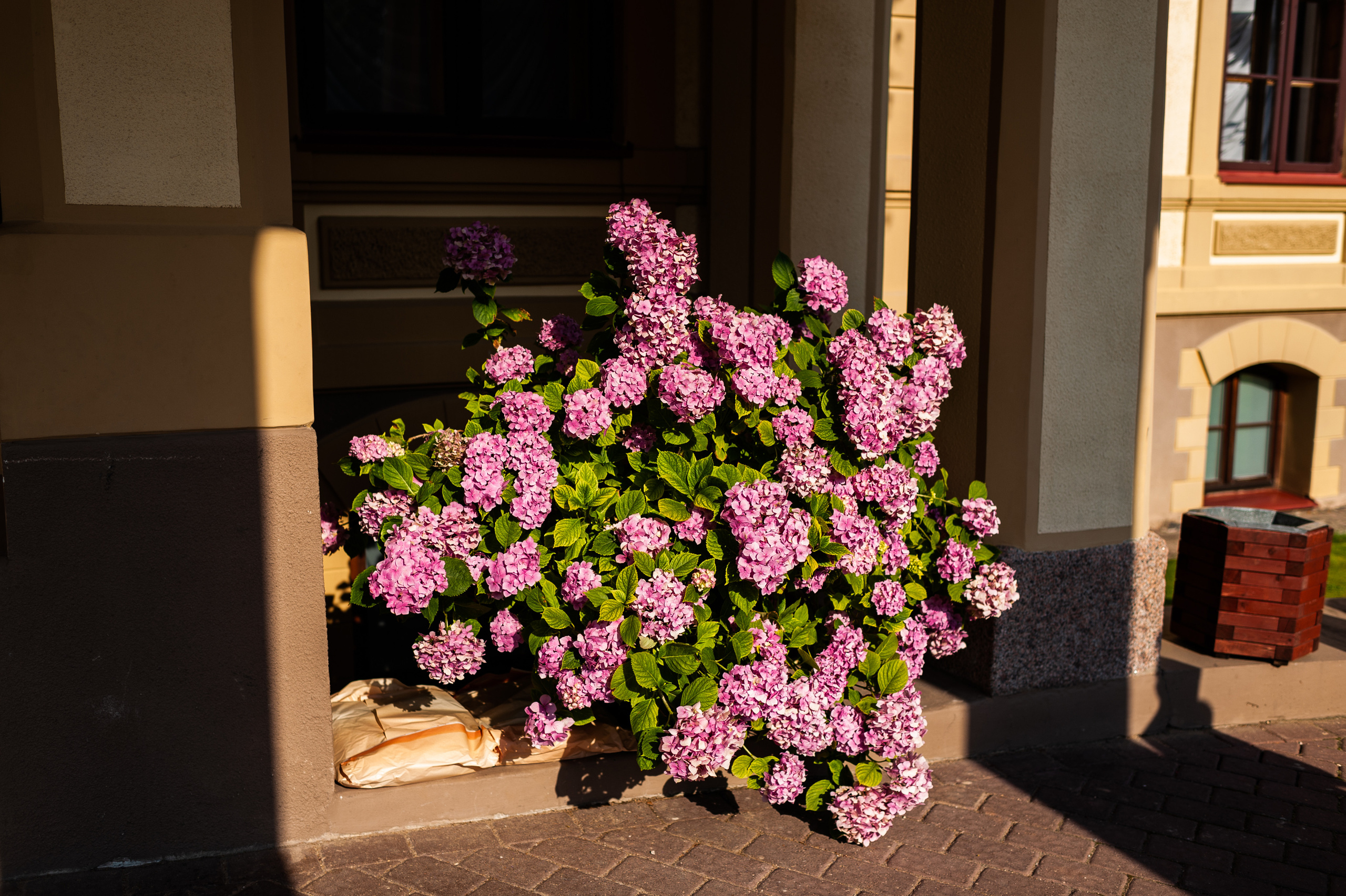 Kāzas Dikļu pilī. ROLFS VENDIŅŠ - KĀZU FOTOGRĀFS | Rīgā un visā Latvijā