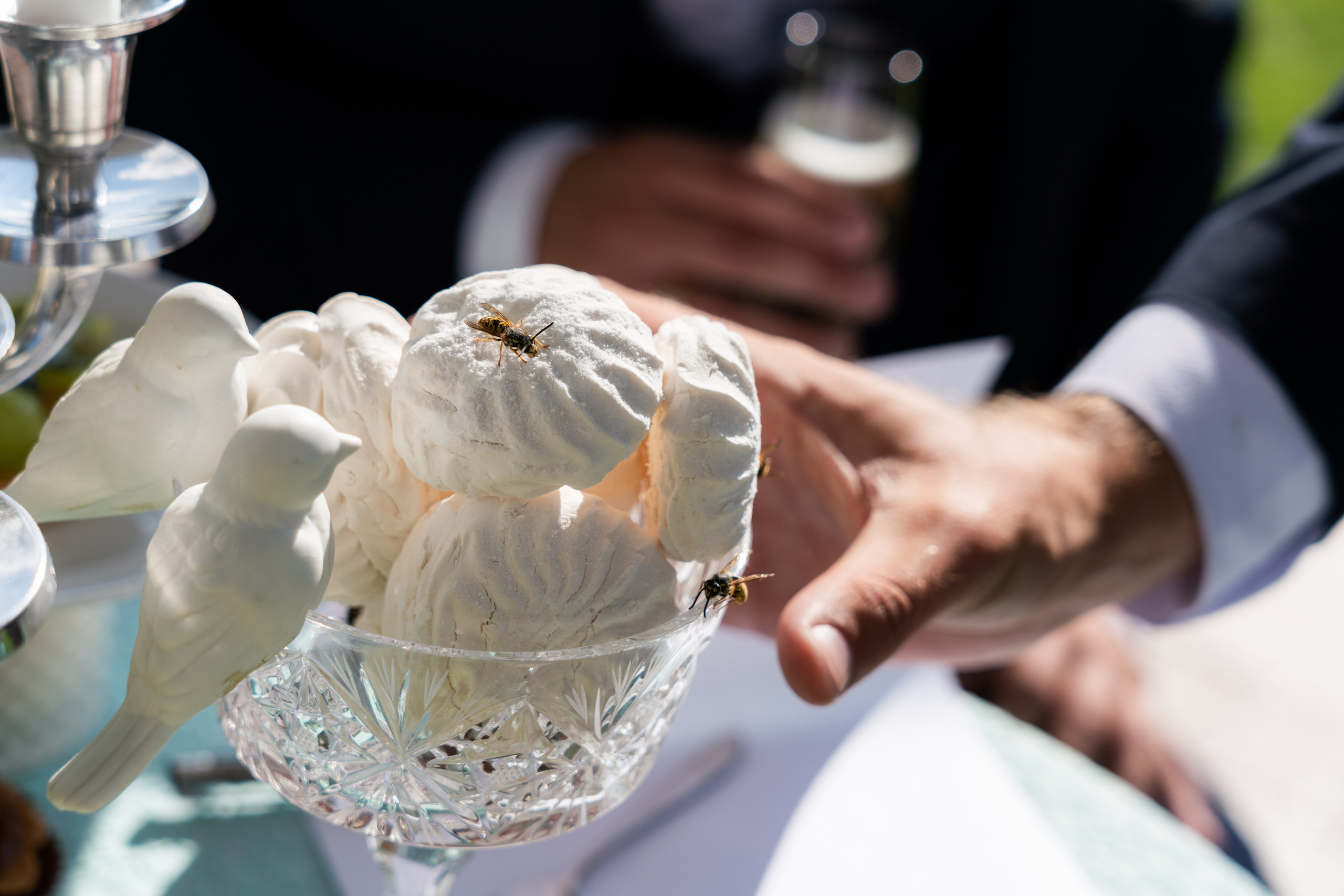 Kāzas Stāmerienas pilī. ROLFS VENDIŅŠ - KĀZU FOTOGRĀFS | Rīgā un visā Latvijā