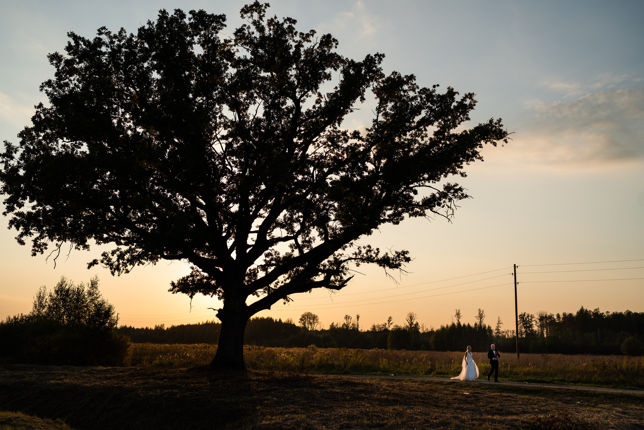 Kāzas Siguldā. ROLFS VENDIŅŠ - KĀZU FOTOGRĀFS | Rīgā un visā Latvijā