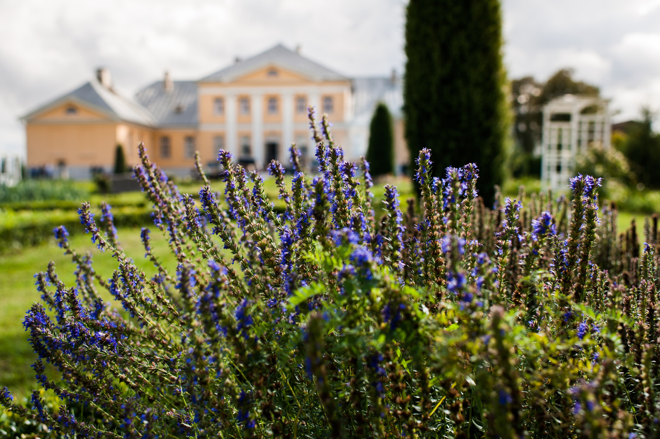 Kāzas Bruknas muižā. ROLFS VENDIŅŠ - KĀZU FOTOGRĀFS | Rīgā un visā Latvijā