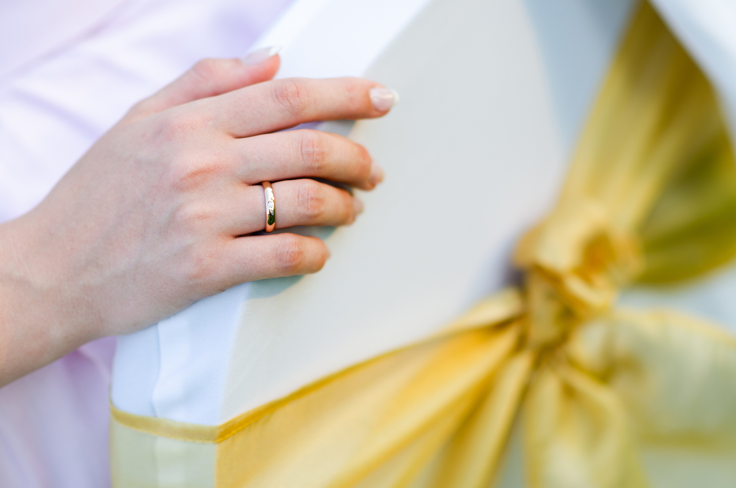 Kāzas Dikļu pilī. ROLFS VENDIŅŠ - KĀZU FOTOGRĀFS | Rīgā un visā Latvijā