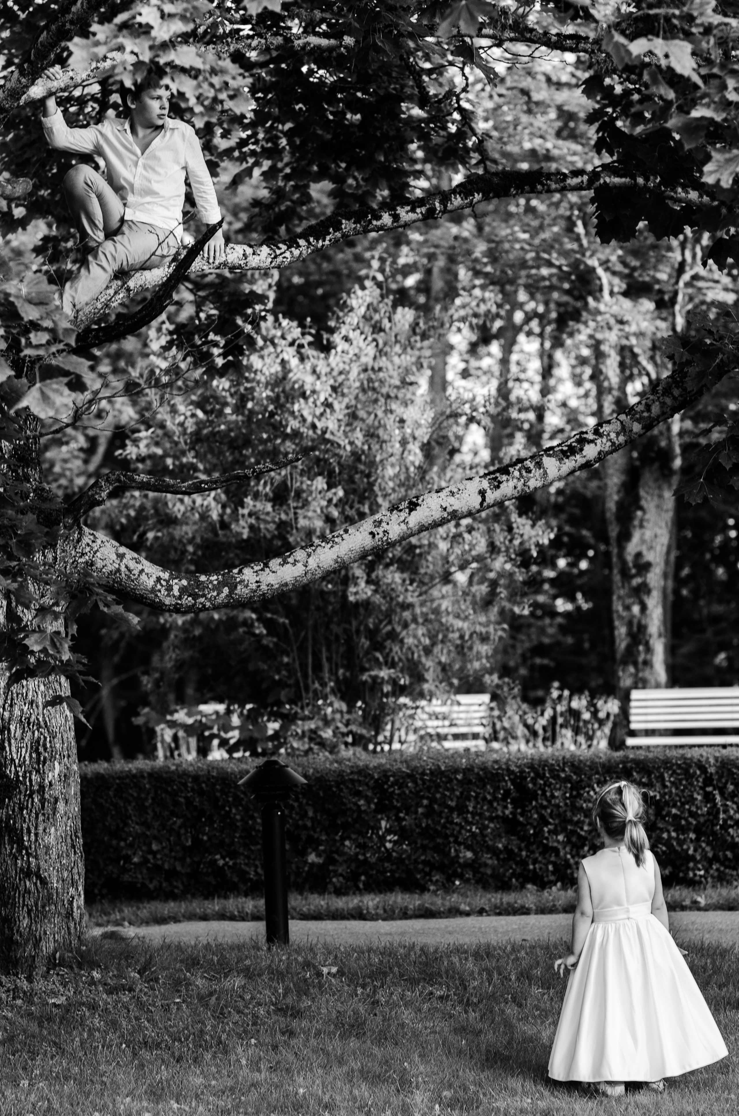 Kāzas Dikļu pilī. ROLFS VENDIŅŠ - KĀZU FOTOGRĀFS | Rīgā un visā Latvijā