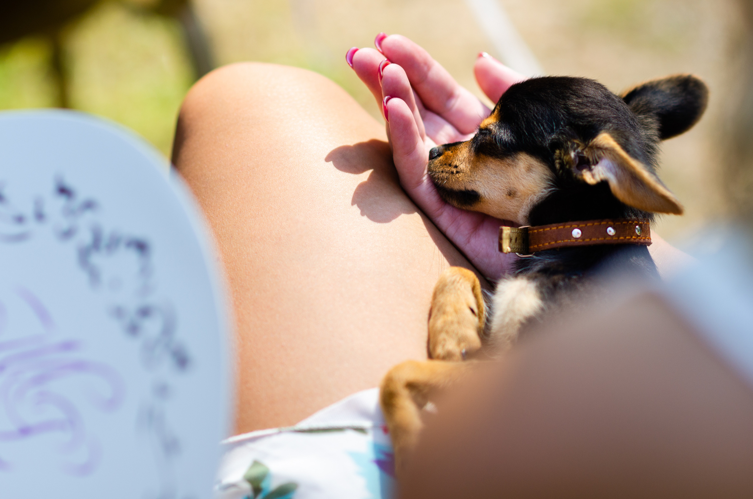 Kāzas Dikļu pilī. ROLFS VENDIŅŠ - KĀZU FOTOGRĀFS | Rīgā un visā Latvijā