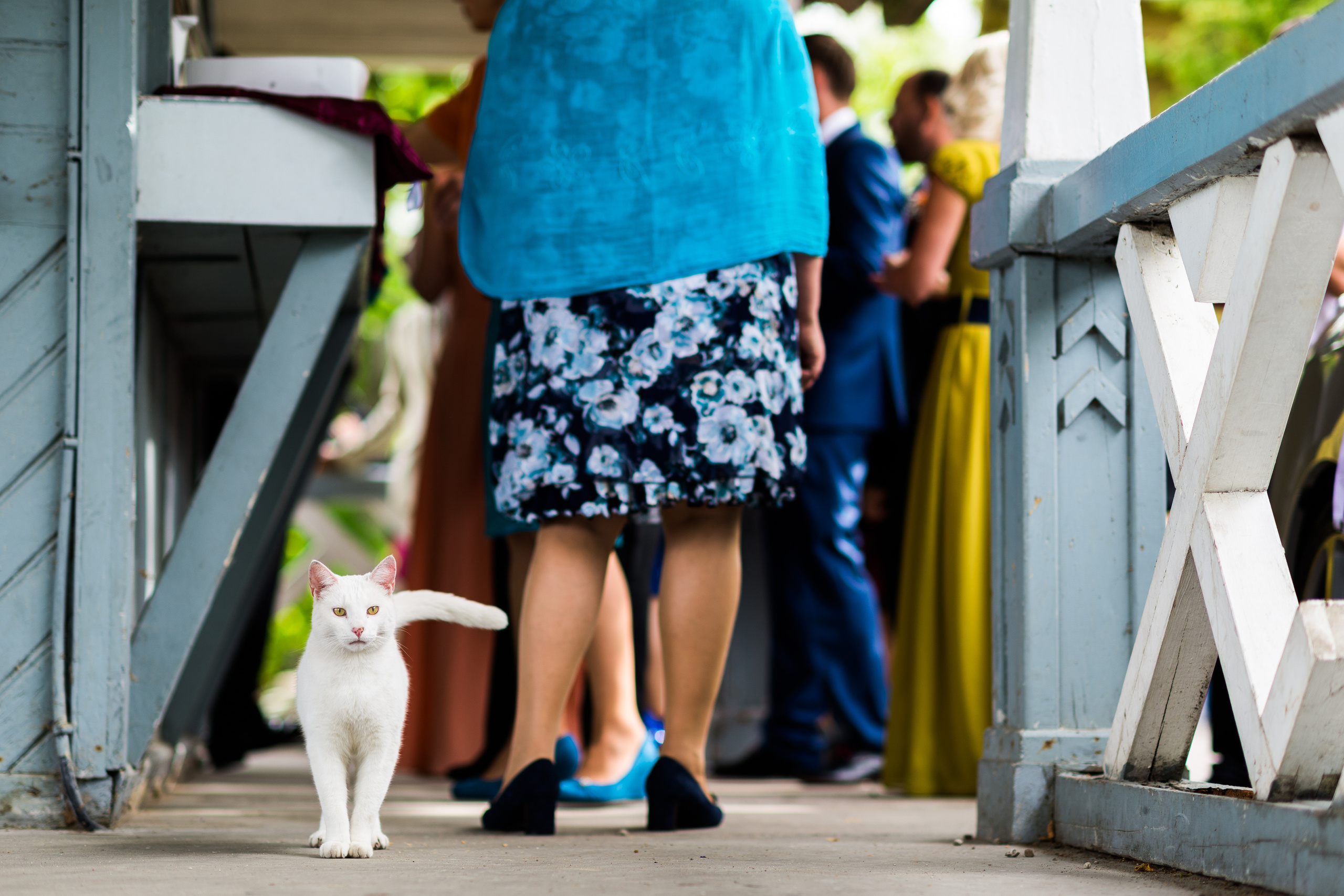 Kāzas Skrundas muižā. ROLFS VENDIŅŠ - KĀZU FOTOGRĀFS | Rīgā un visā Latvijā