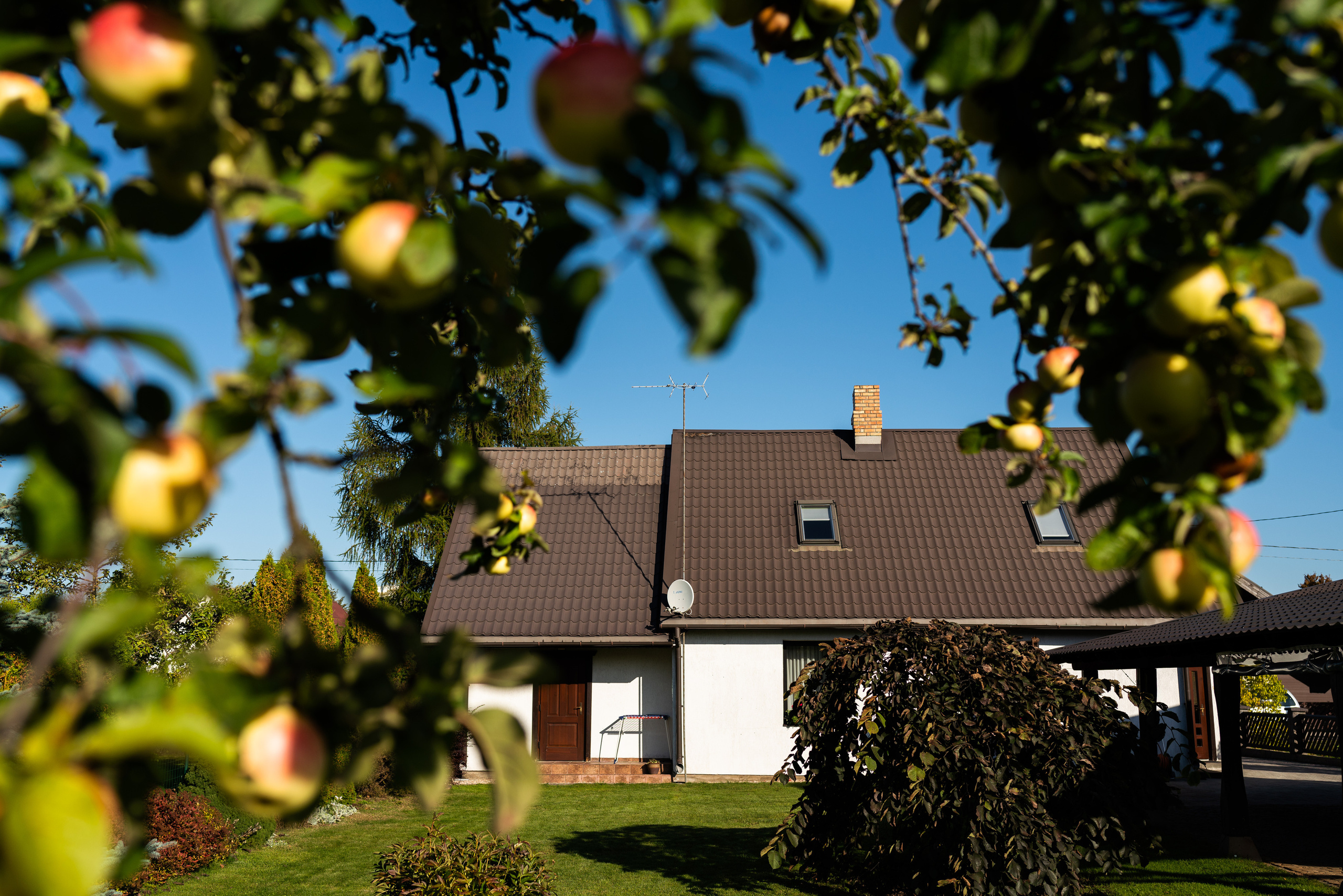 Kāzas Siguldā. ROLFS VENDIŅŠ - KĀZU FOTOGRĀFS | Rīgā un visā Latvijā