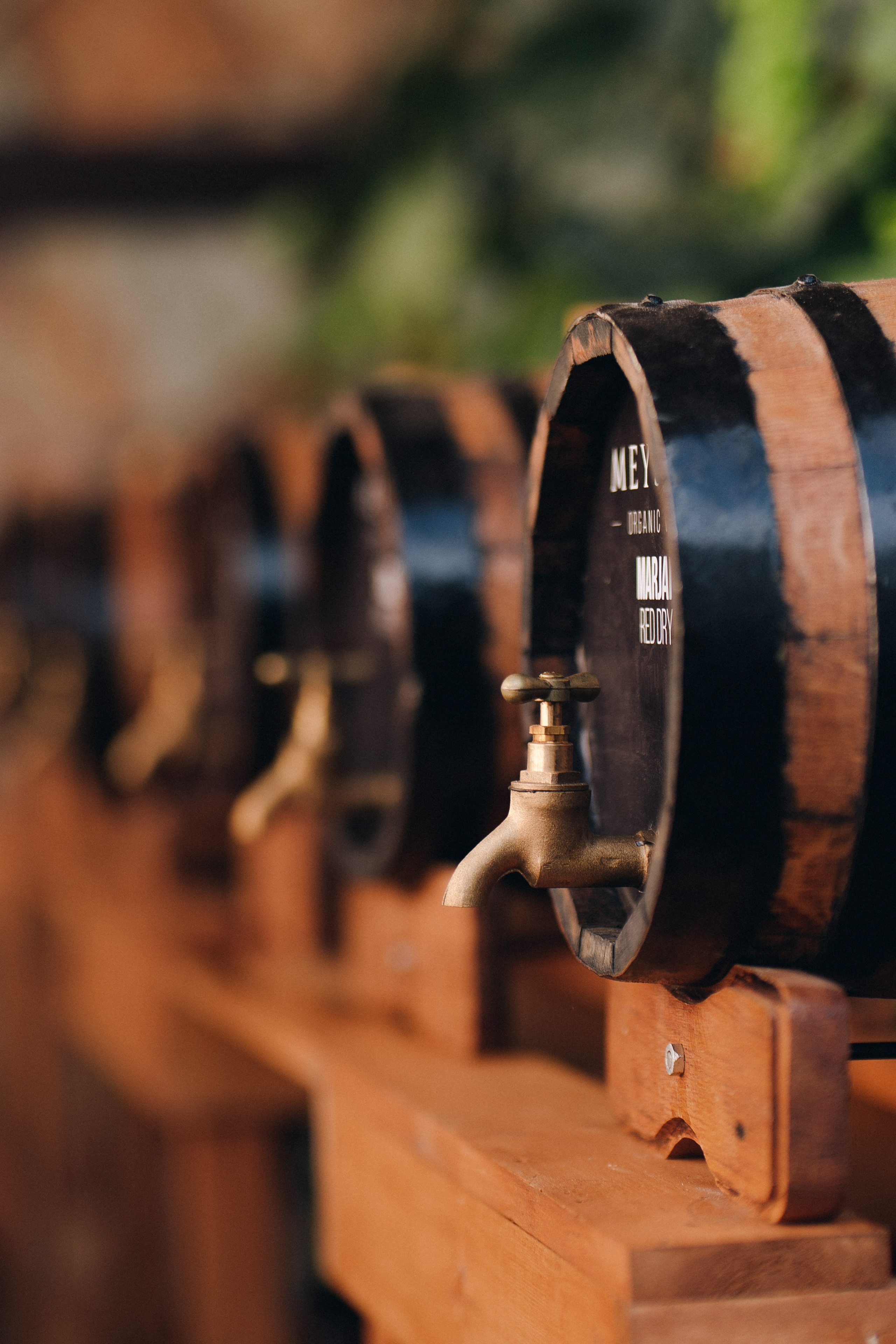 MEYSARI WINE FESTIVAL. Wedding&Event photographer Ismail Rzayev in Baku