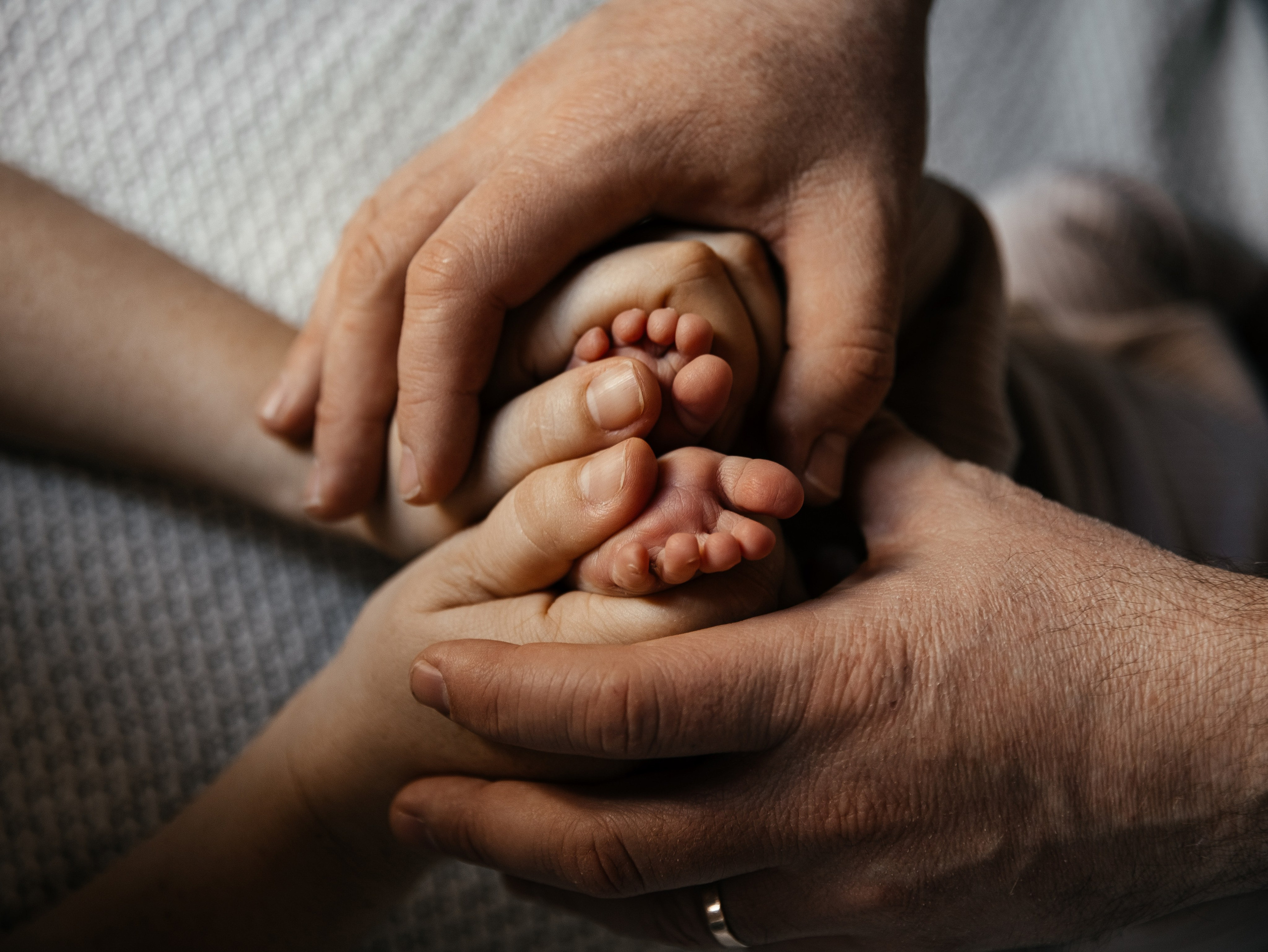 Newborn (Homestory). Wedding Photographer