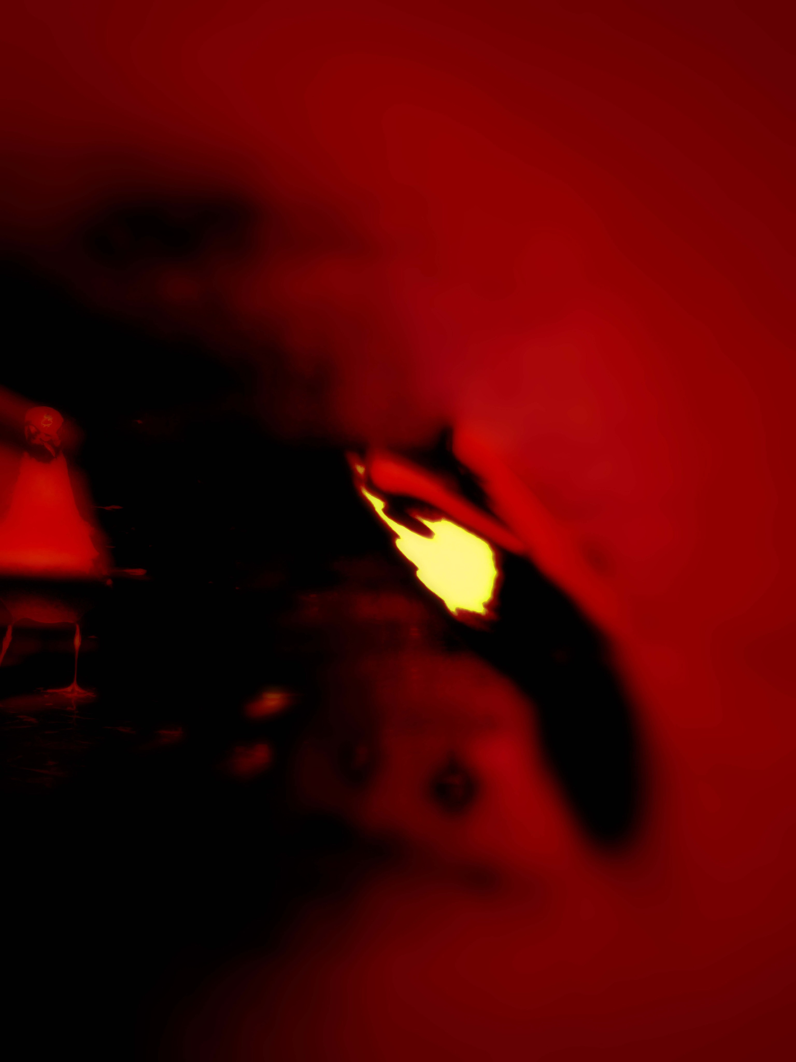 SEAGULLS. Irina Owlik — Visual Artist