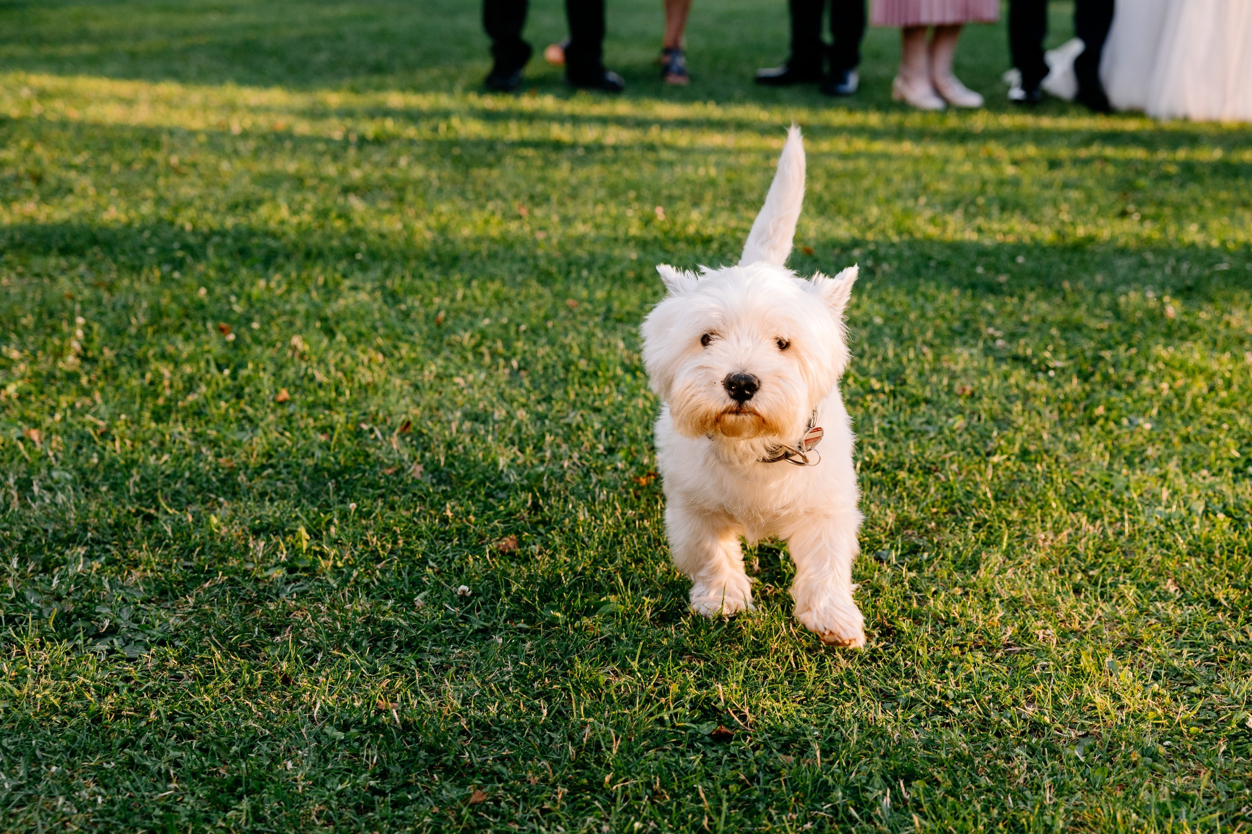 Agathe & Sebastian. Fotograf Ślubny Warszawa - Sesje Biznesowe Rodzinne Eventy