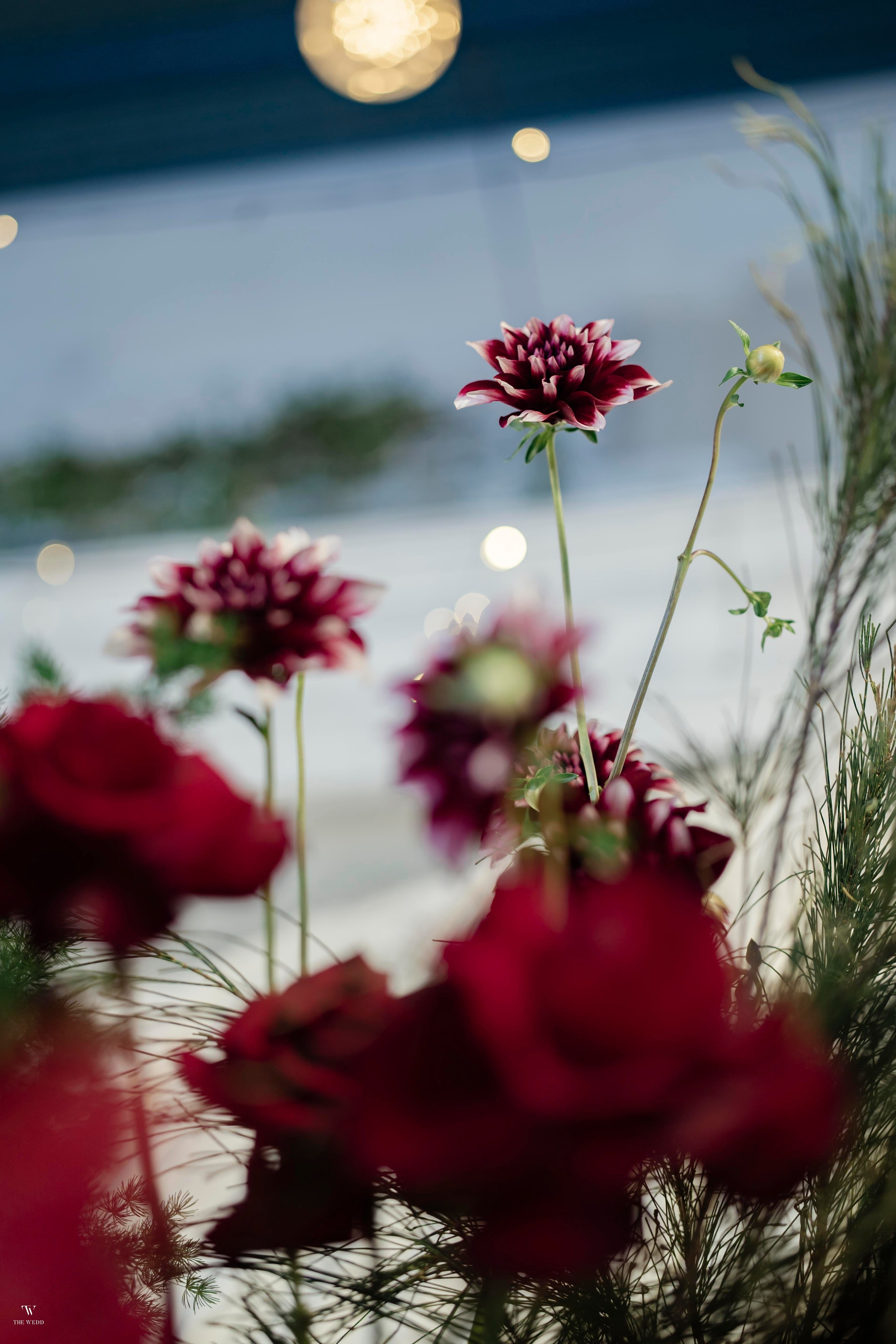 NGHIA & NGOC. WEDDING PHOTOGRAPHER IN VIETNAM