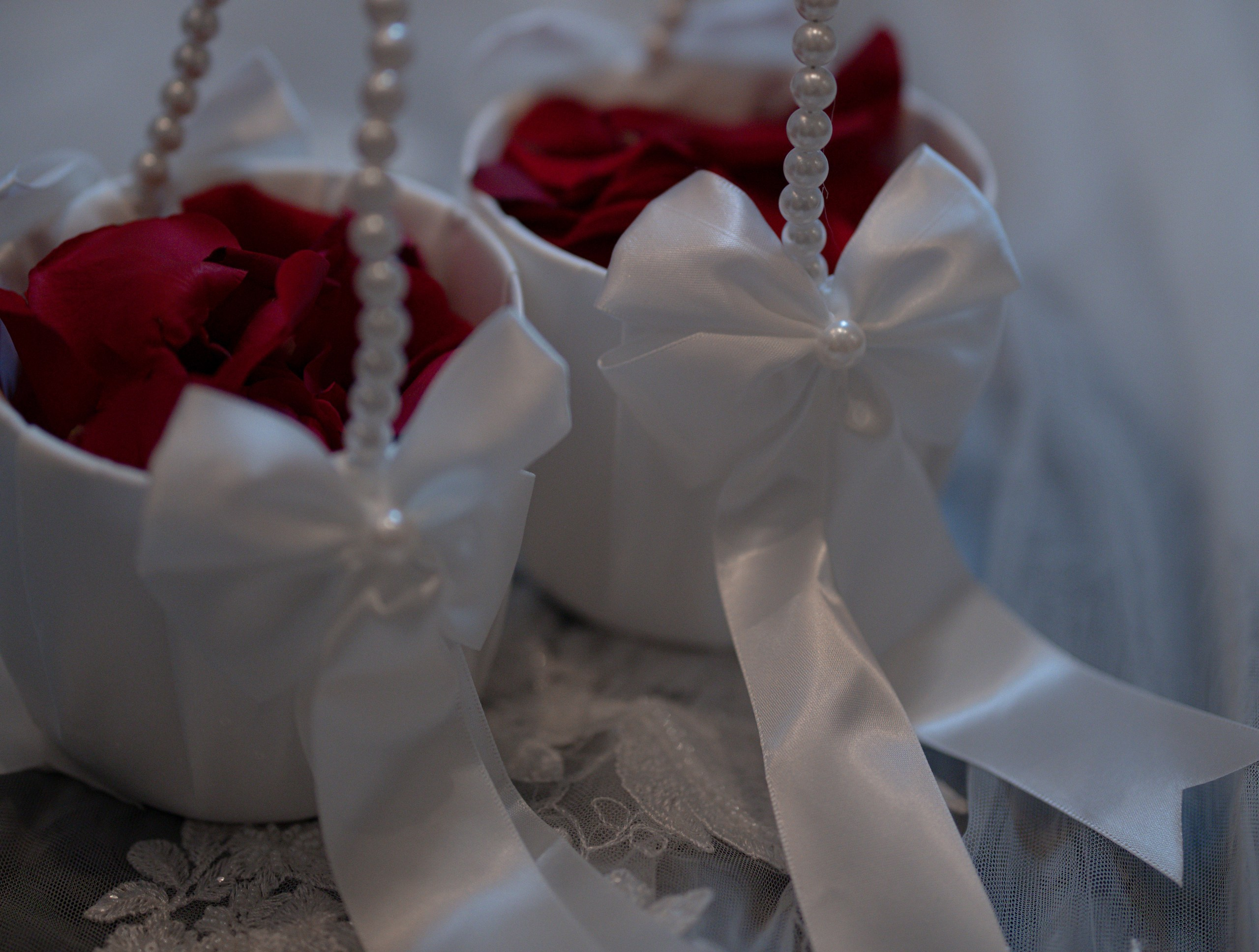 Jessica and Chris (Manitoba Club). Wedding Photographer in Winnipeg — Cinematic & Timeless by Vitiuk Photography