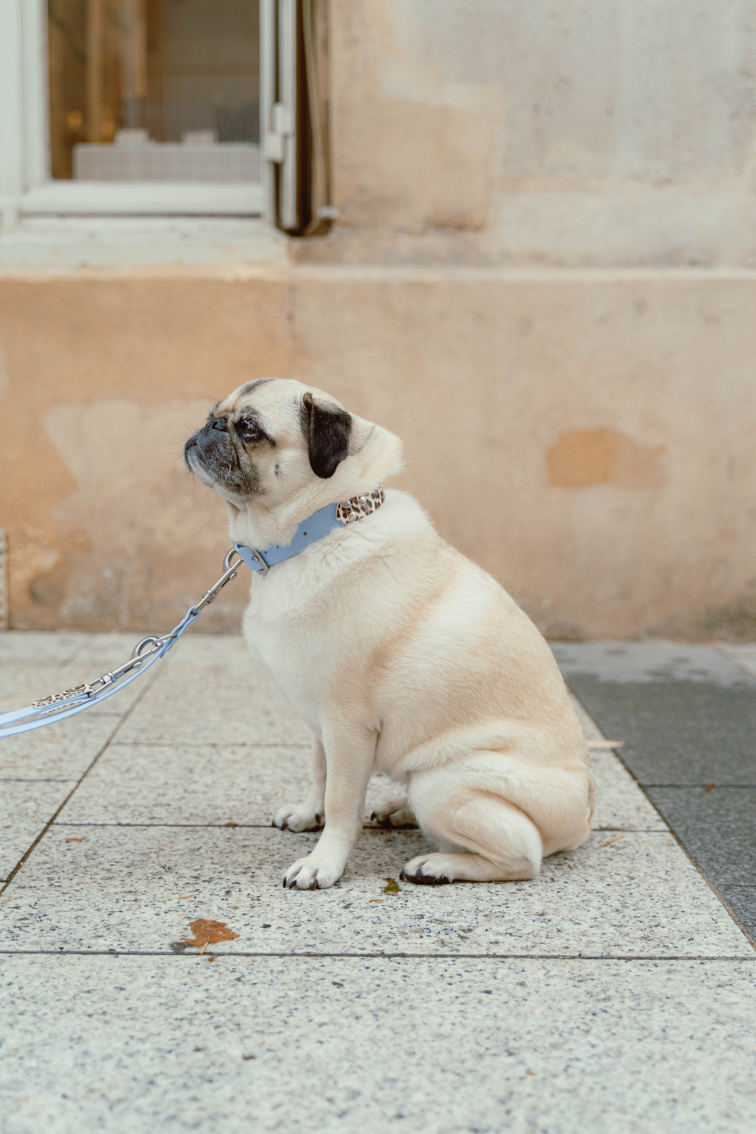 Rosa Lopez. Weeding photographer / event / portrait