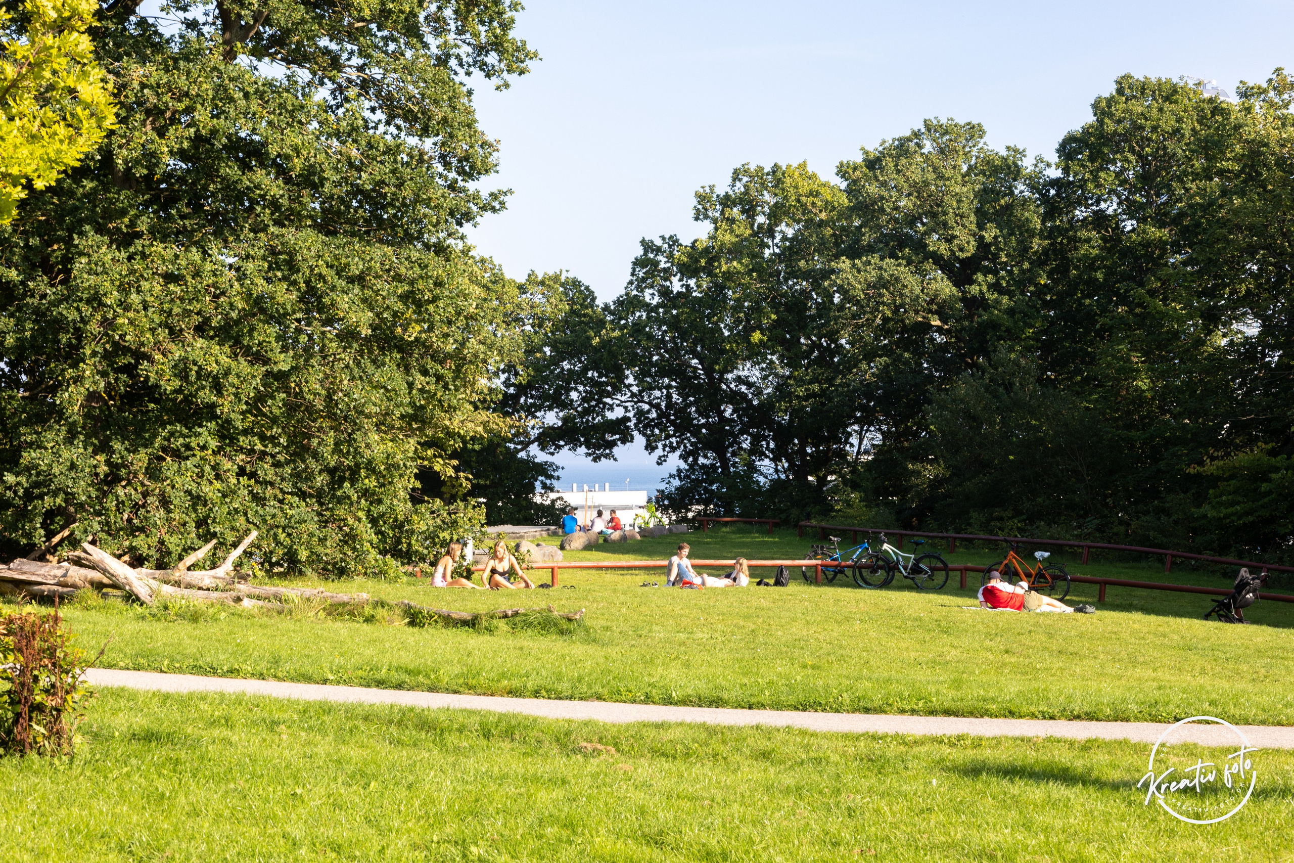 Sommer. Fotograf Aarhus | Portrætfoto Århus | Flotte billeder