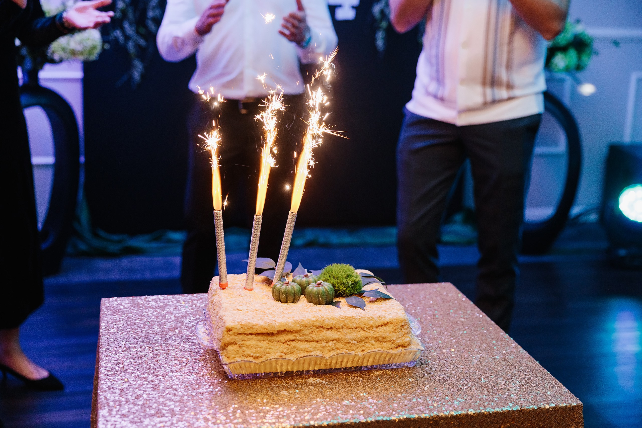 10.26.2024 Birthday Party. Wedding family event photographer in Chicago Nick Yushevich