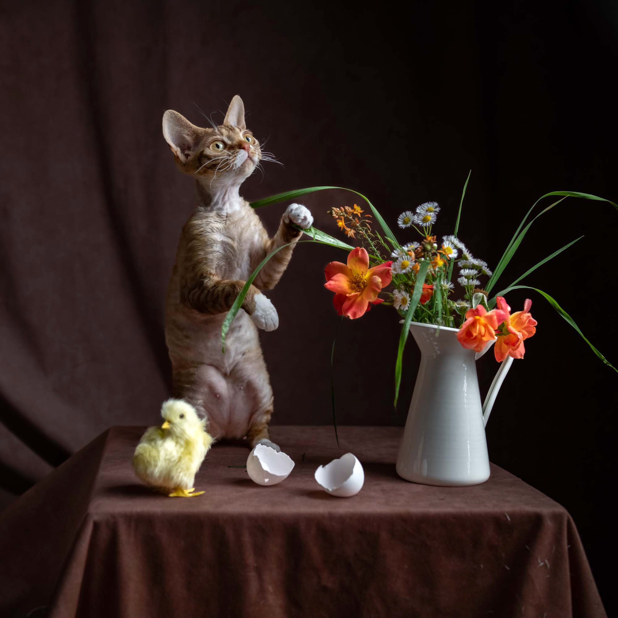 Easter. Photographer Irina Kozhemyakina. Houston