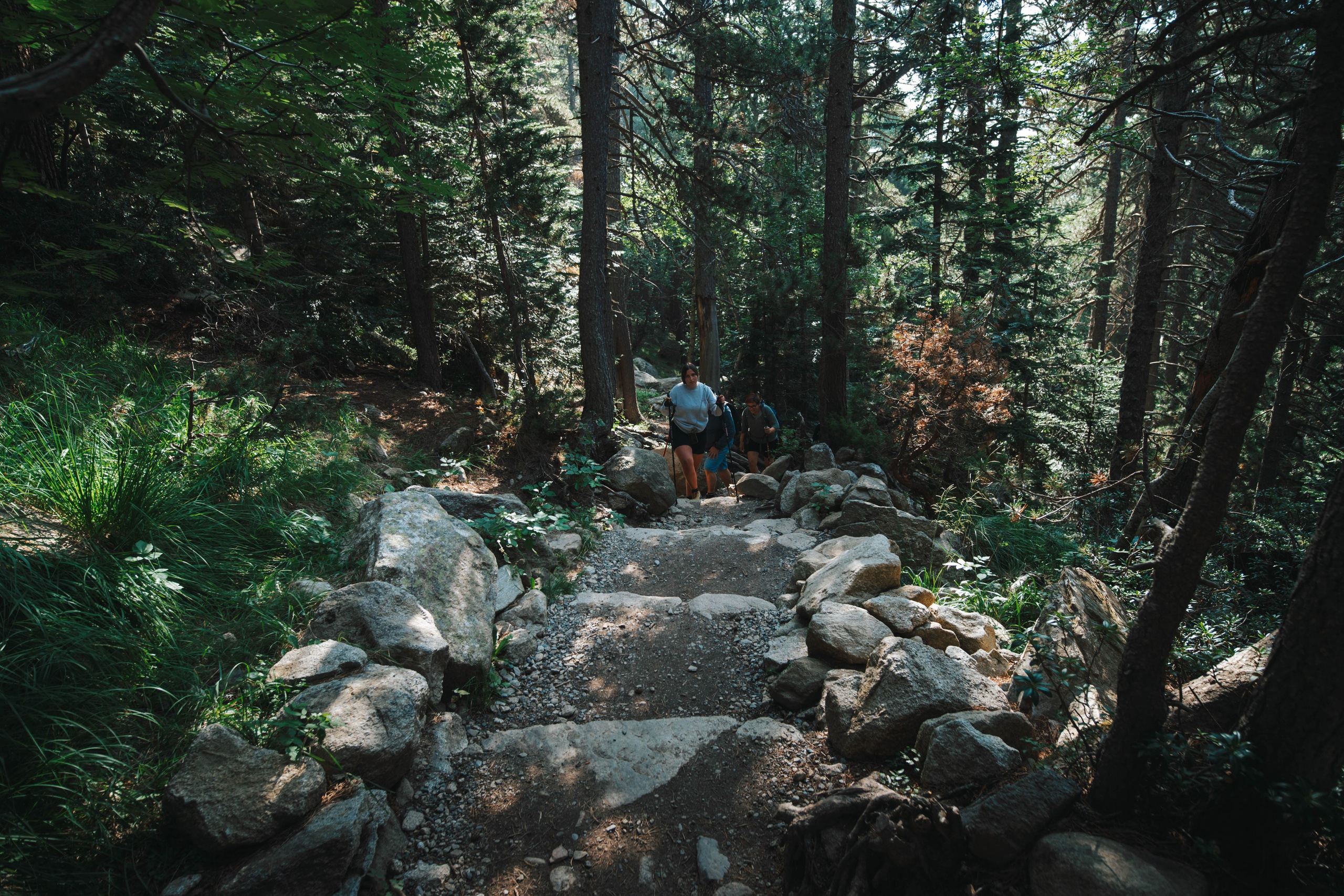 Parque Nacional de Aigüestortes y Estany de Sant Maurici. Alba del Norte Studio