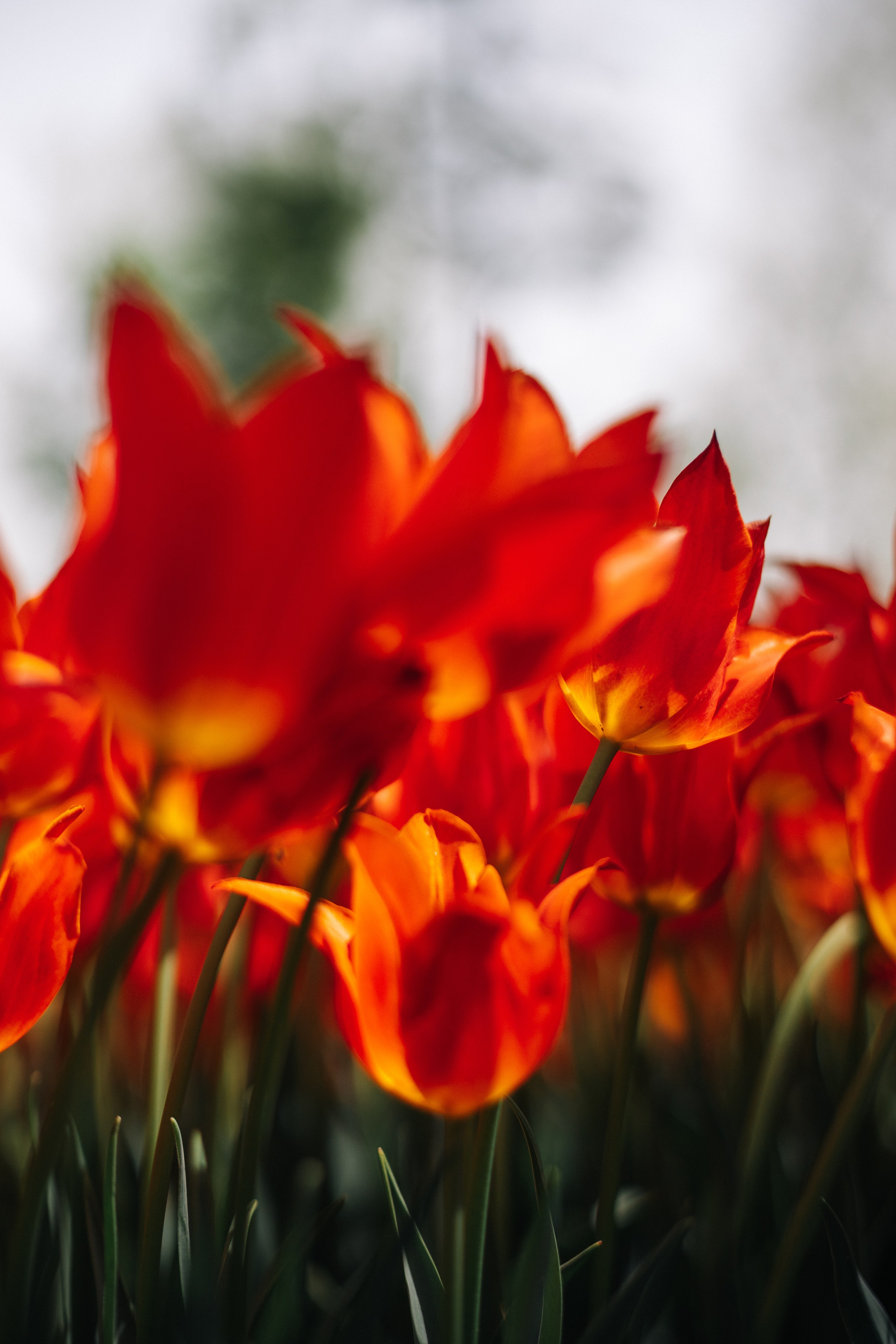 Стамбул. Фотопрогулки в Стамбуле