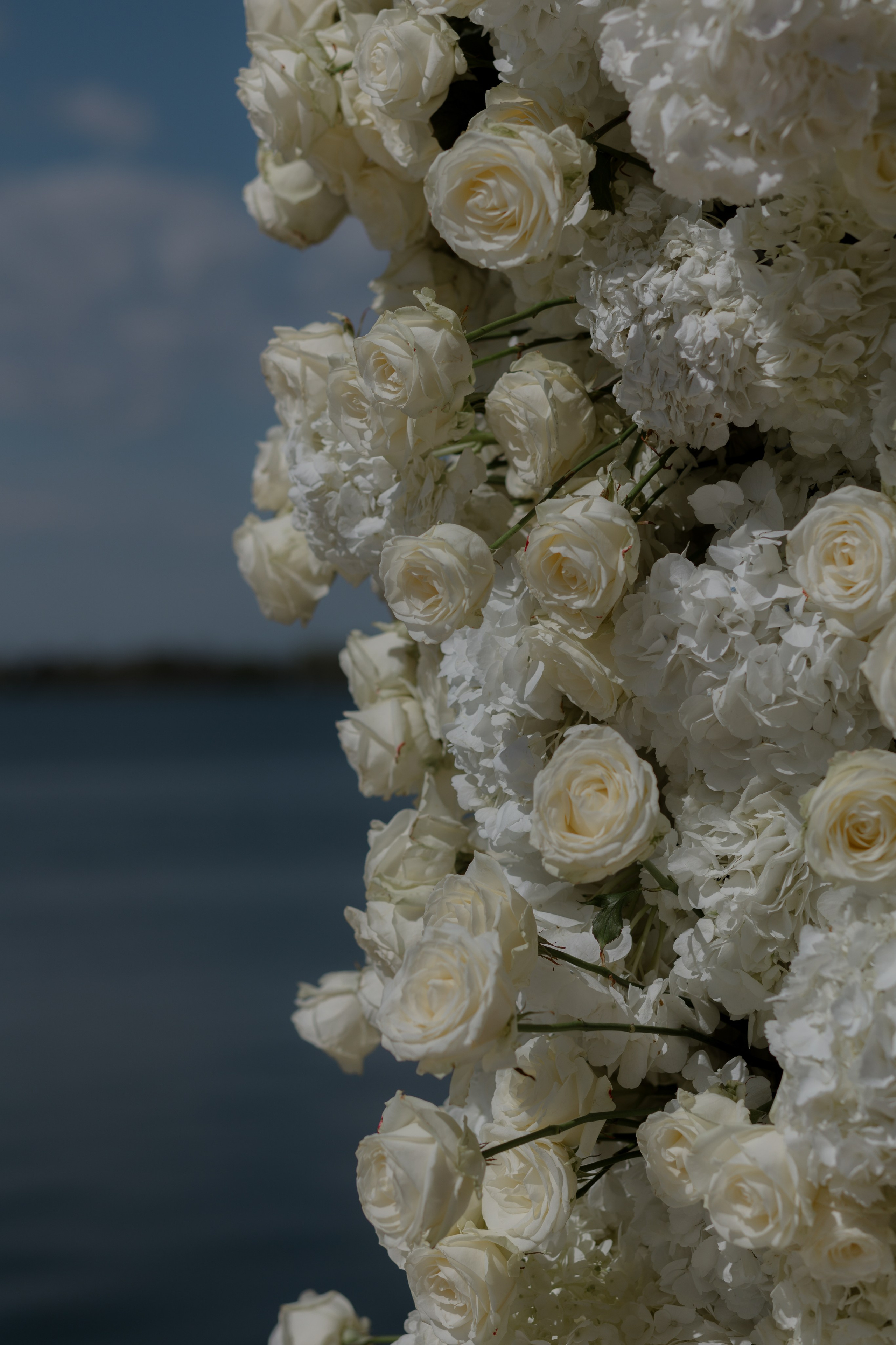 Dorian & Andreea Popa. Emotions Photo Art