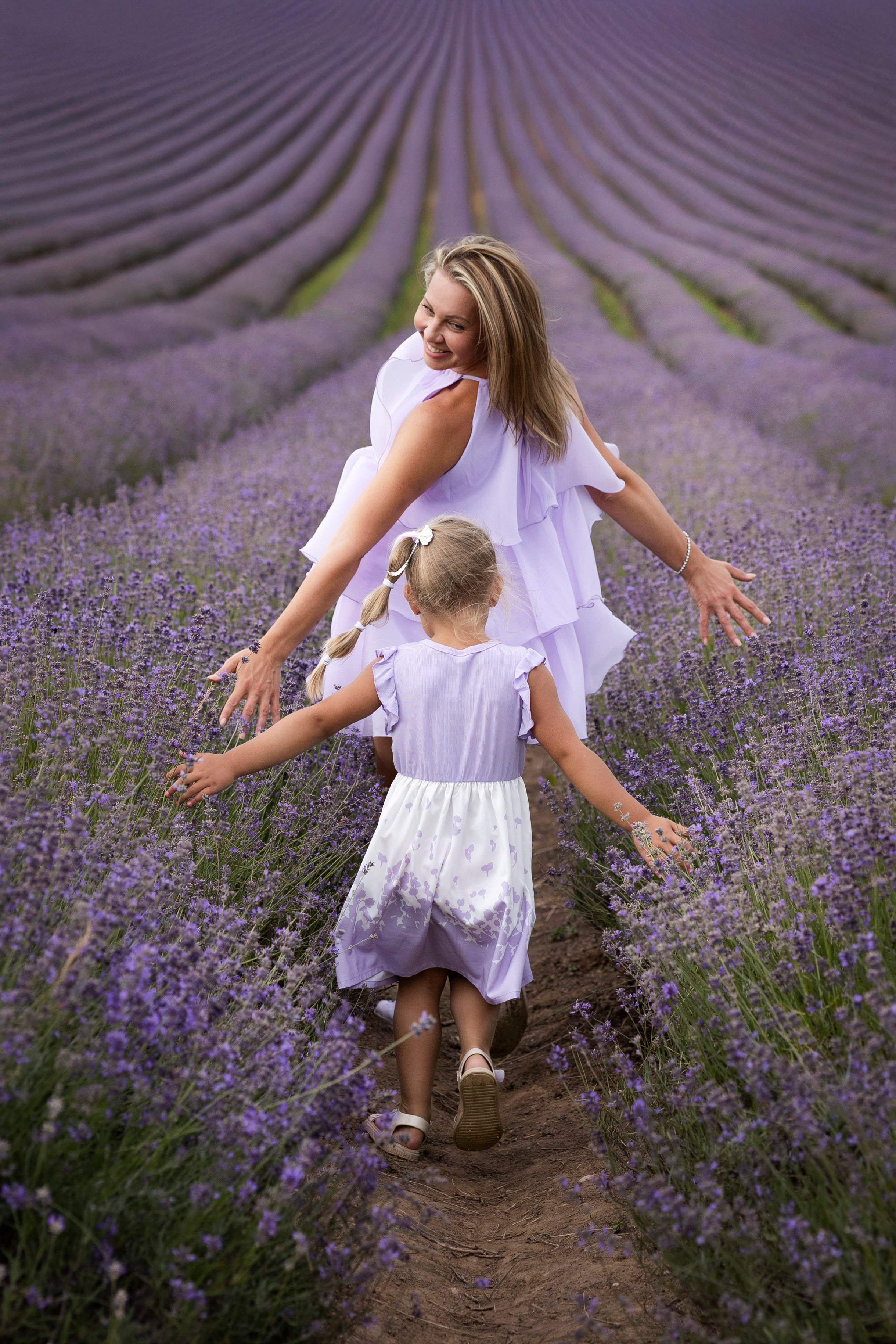 Lavendel. Photographer in Munich