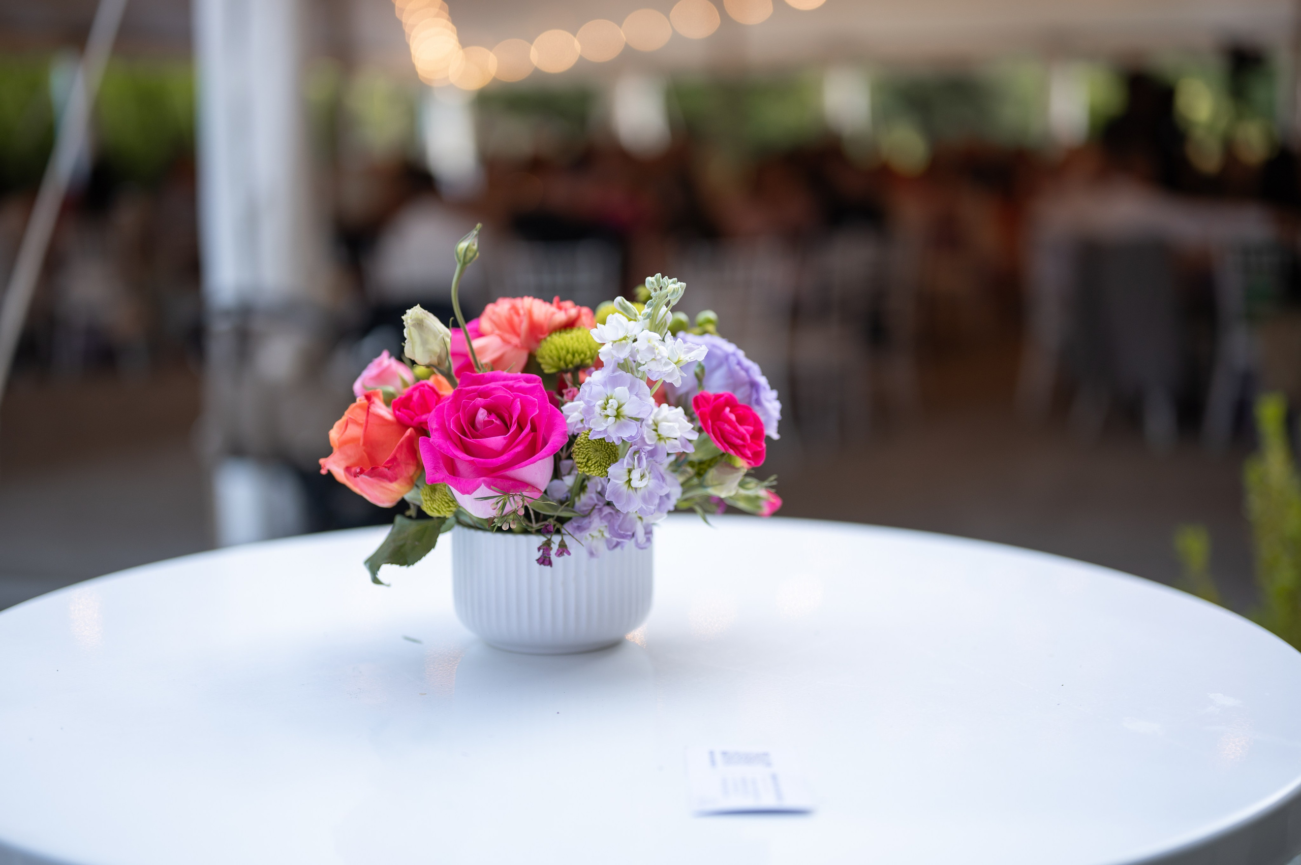 Wedding David & Nadine. Portrait photographer in Charlotte, North Carolina