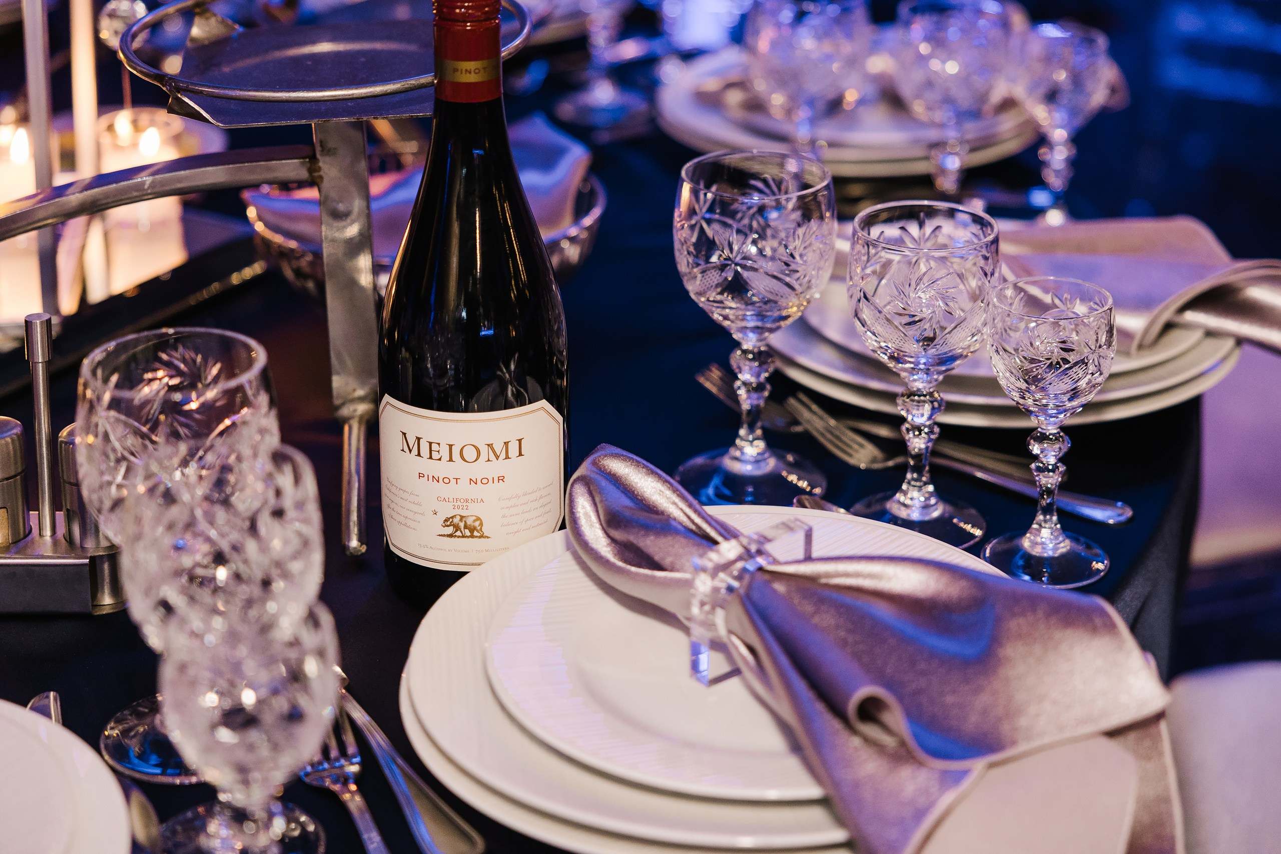 06.28.25 Birthday Party. Wedding family event photographer in Chicago Nick Yushevich