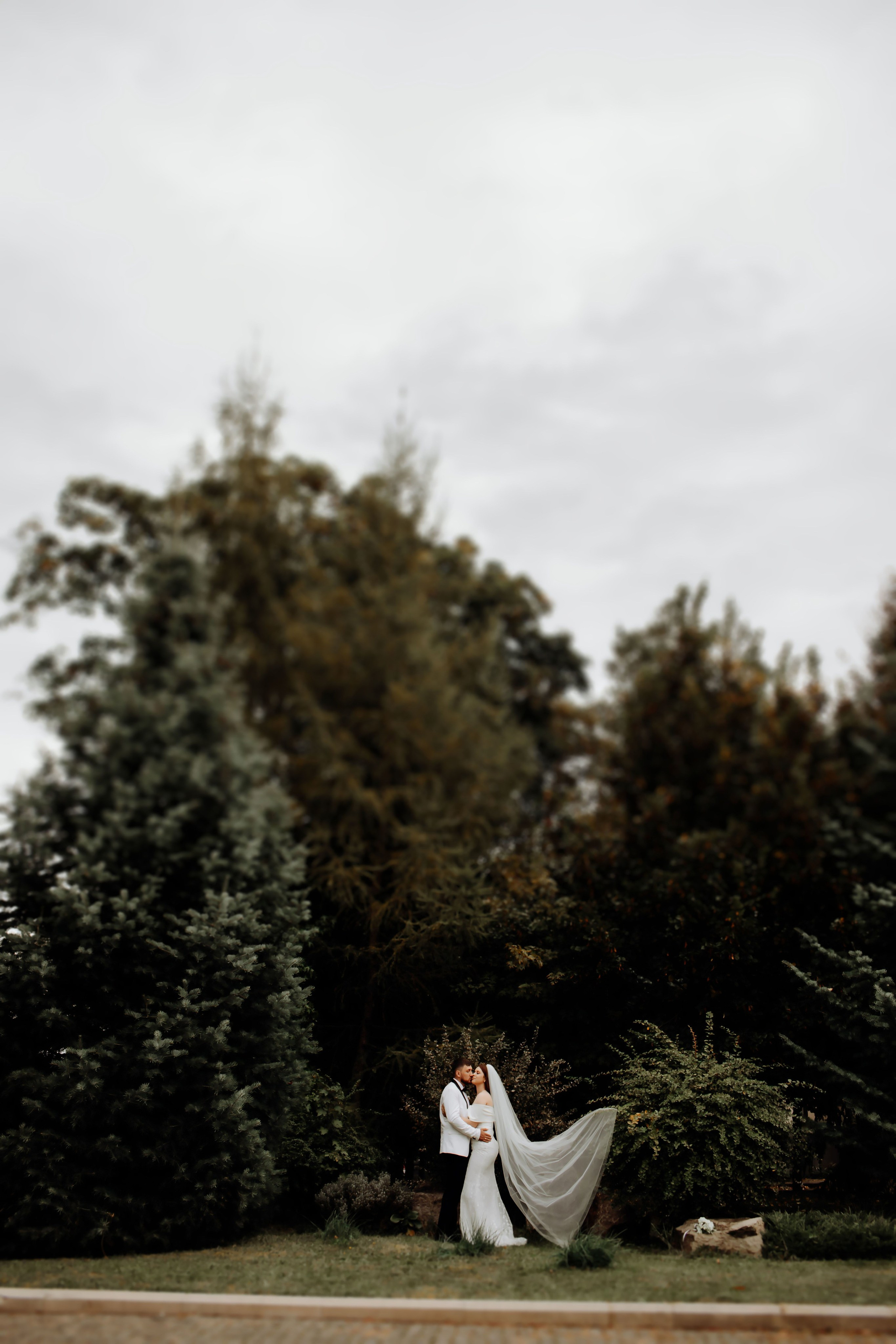 Nunta. Servicii Foto/Video