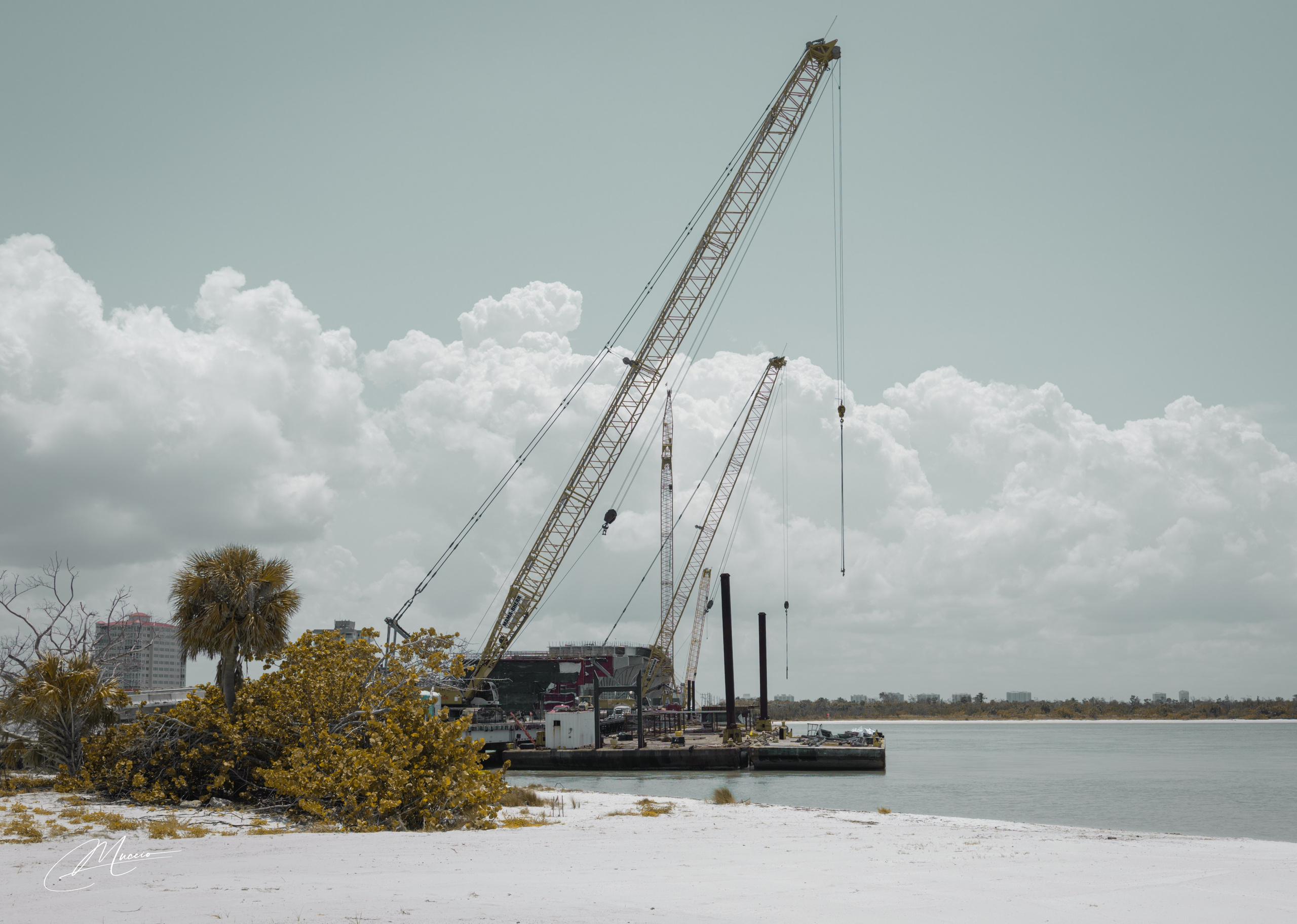 Florida Man — Fort Myers Walkabout. Out and About 239
