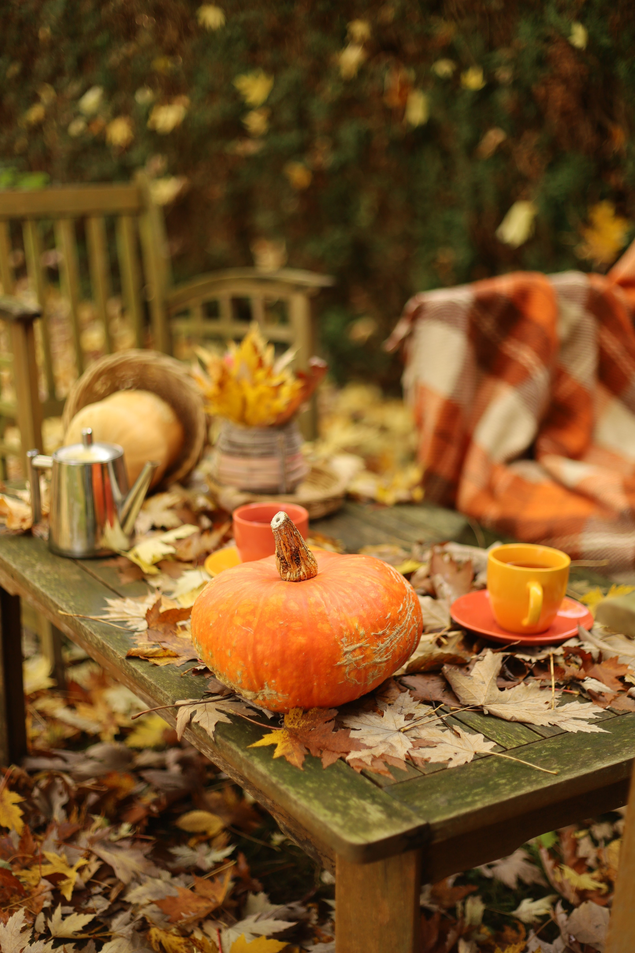 Séance photo d’automne: Meilleurs amis. Photographe et graphiste Anastasiia LITVIN - Besançon, France