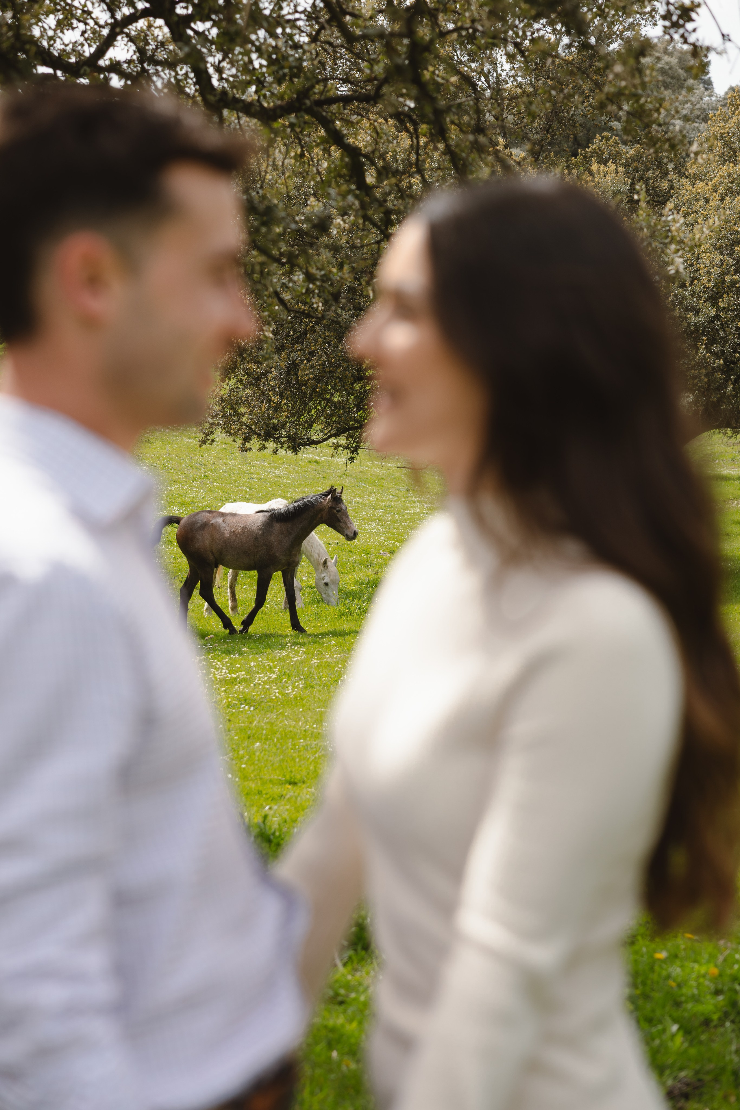 PREBODA EN UNA GANADERÍA DE TOROS. Fotógrafo y Videógrafo de bodas y eventos