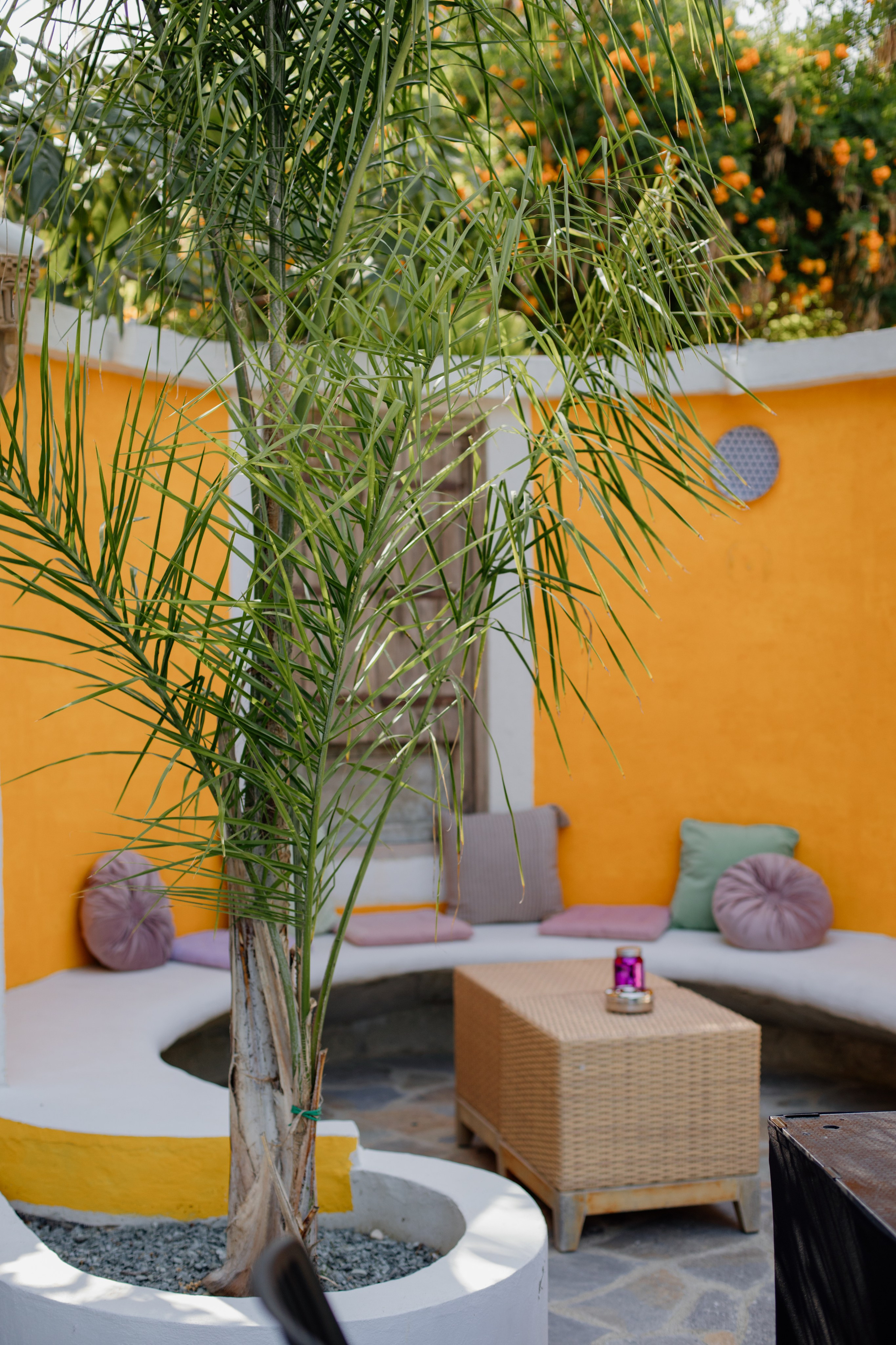 Payabl. Summer Party. Family and business portrait’s photographer in Cyprus