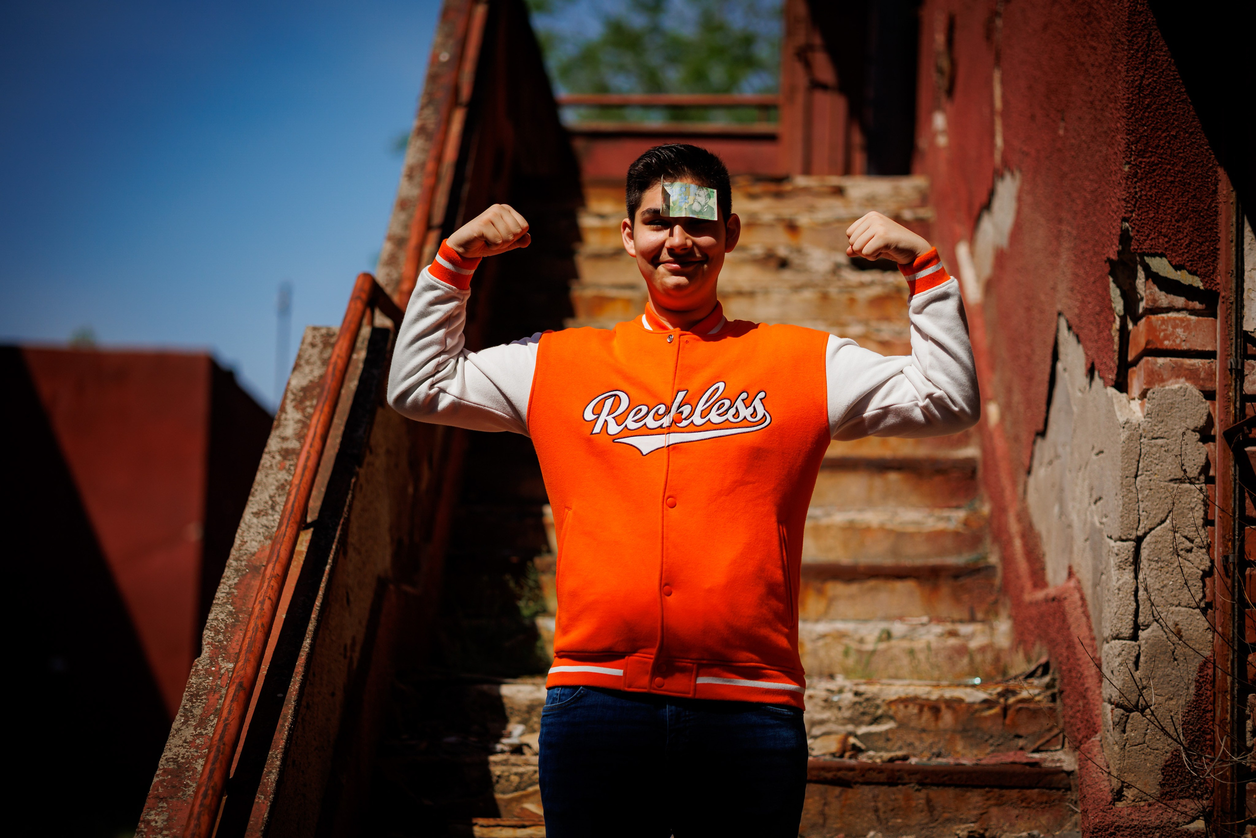 Distracție Gratuit. Trendy Albums