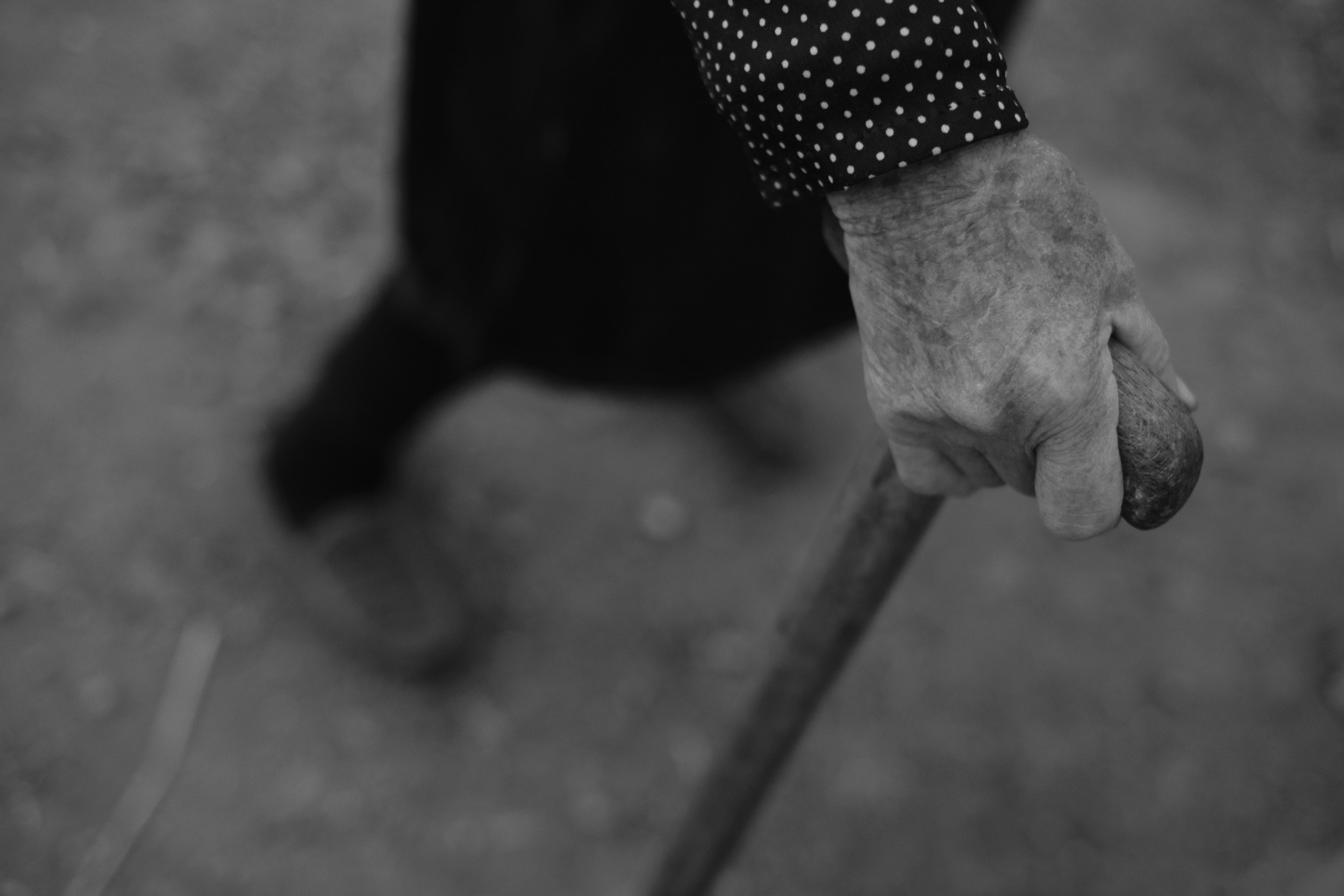 EARTH & SONG Vardablur, 2025. Areg Balayan — Photographer/Visual Artist