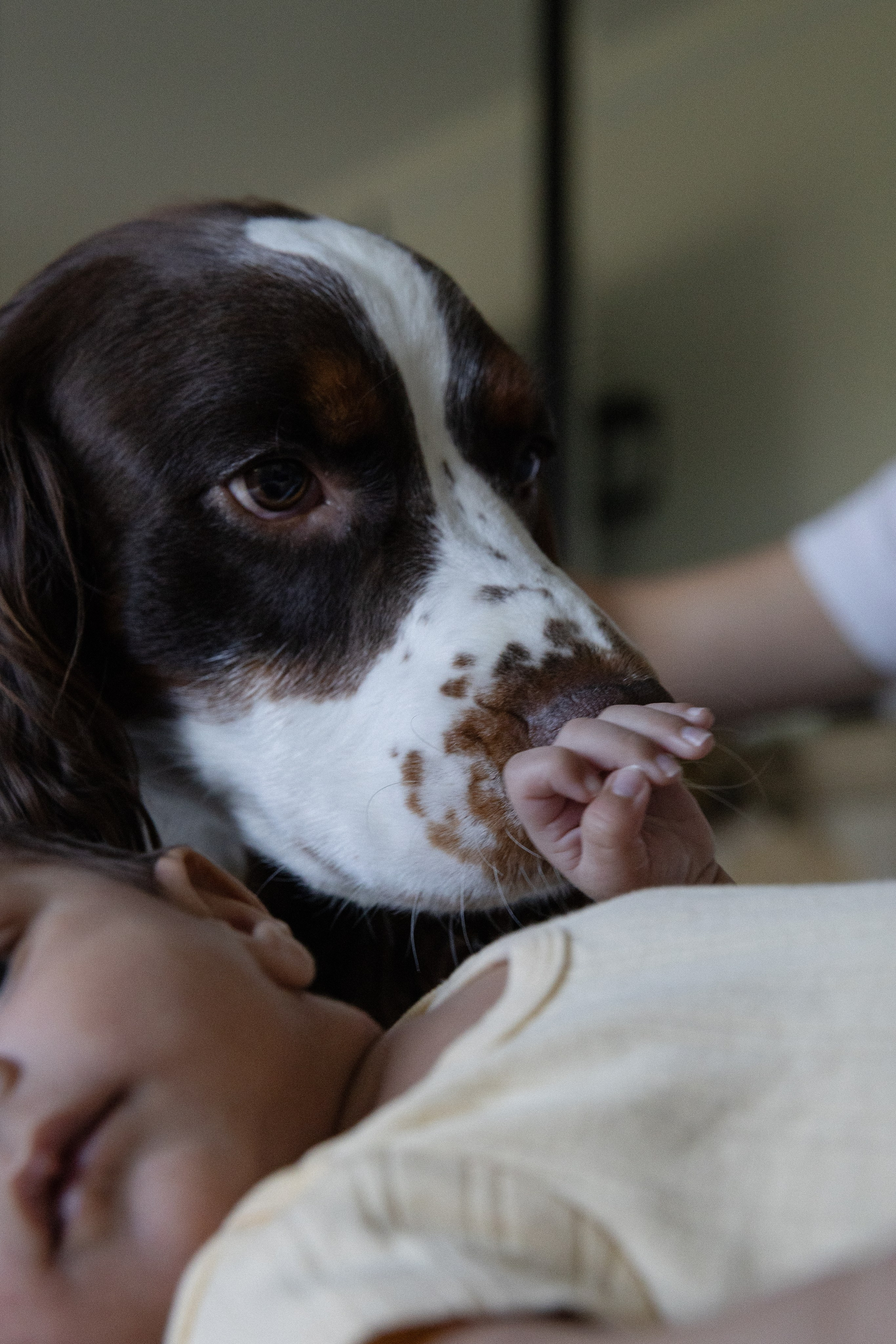 Newborn Shoot. Baby Boy Lucas. Portrait, family, maternity & wedding photography & videography in SoCal Kseni Vibe