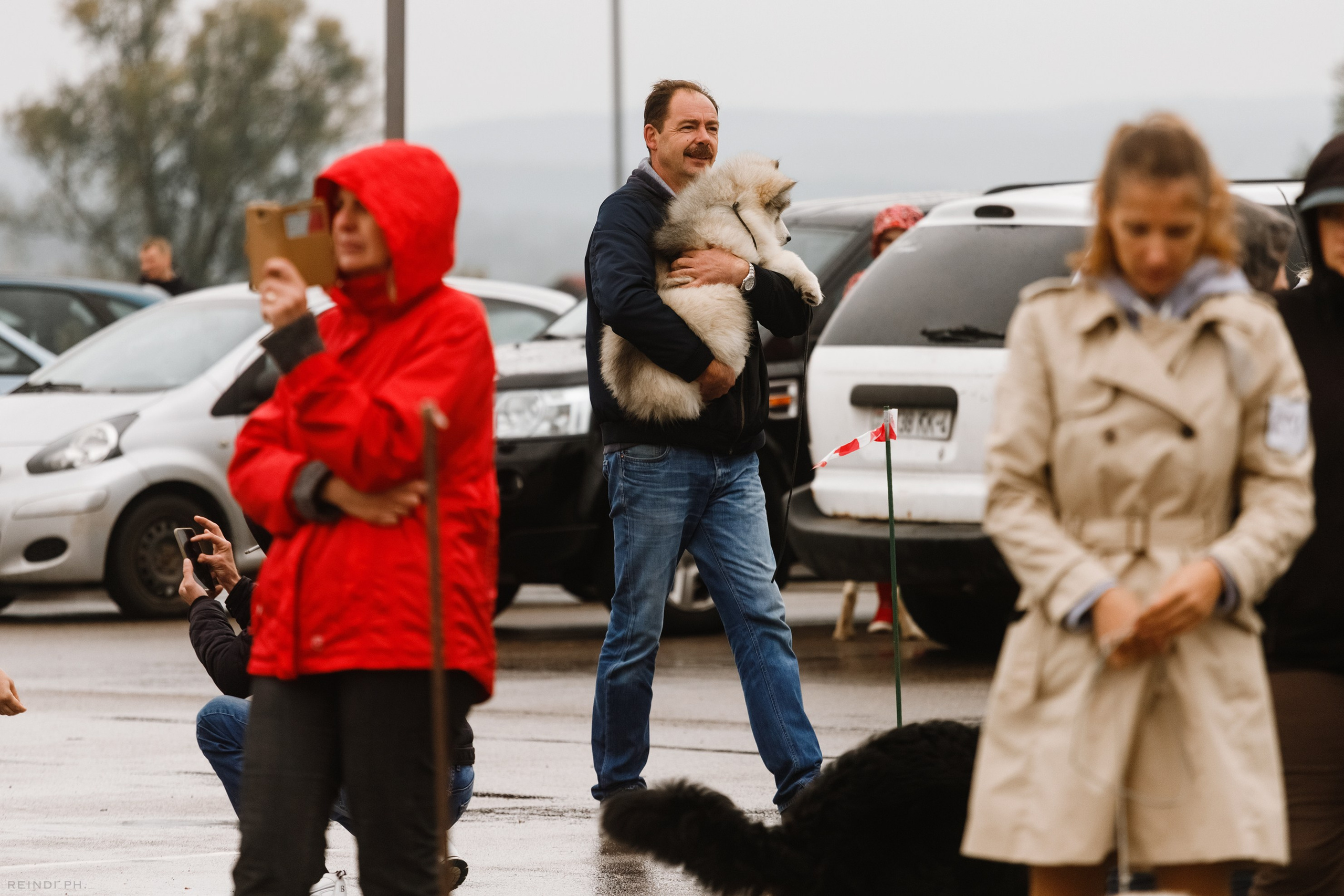 Rainy dog show in Grodno. Kaja | fotograf we Wrocławiu | ludzie i psy
