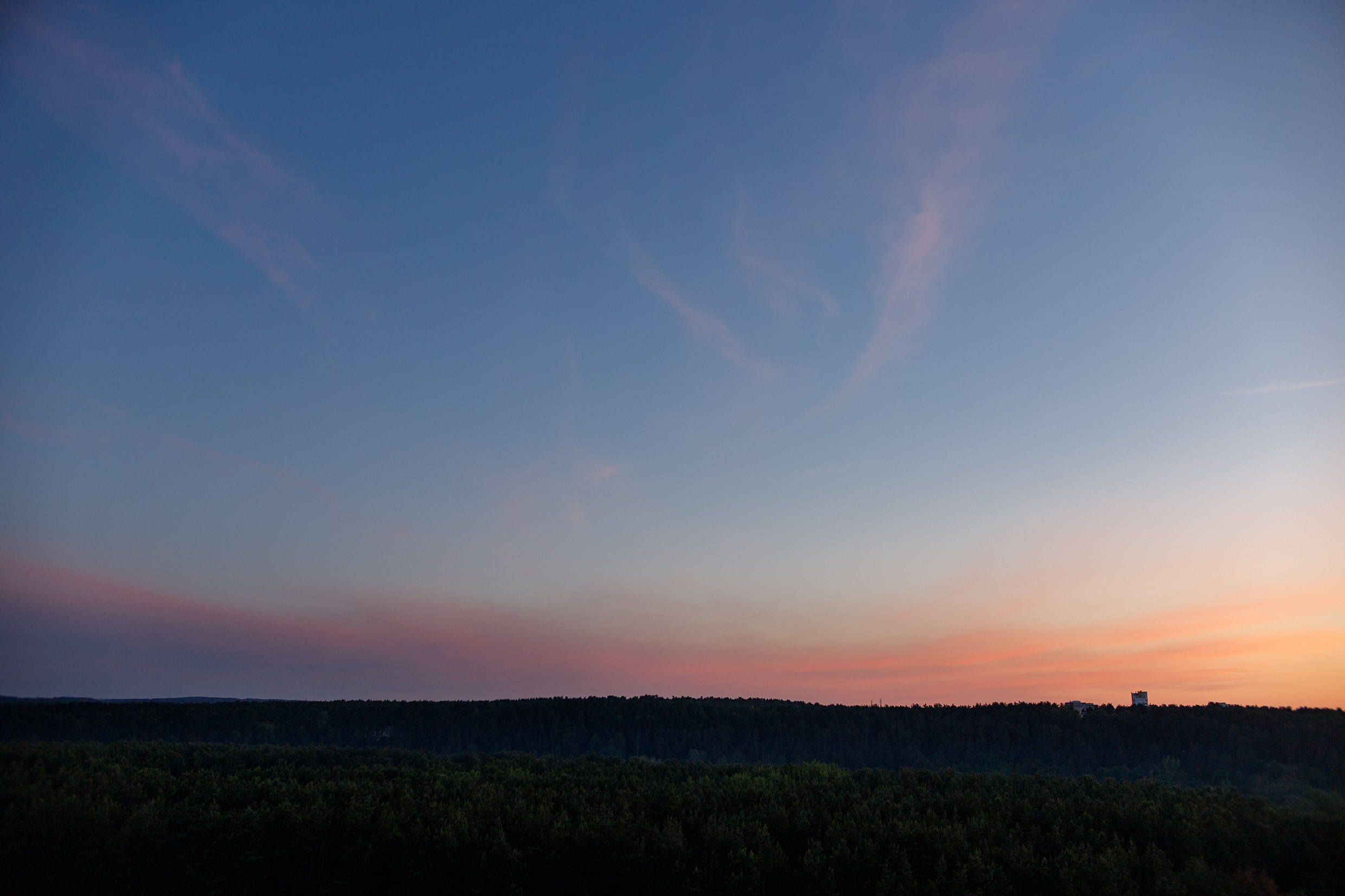 Grodno. Kaja | fotograf we Wrocławiu | ludzie i psy