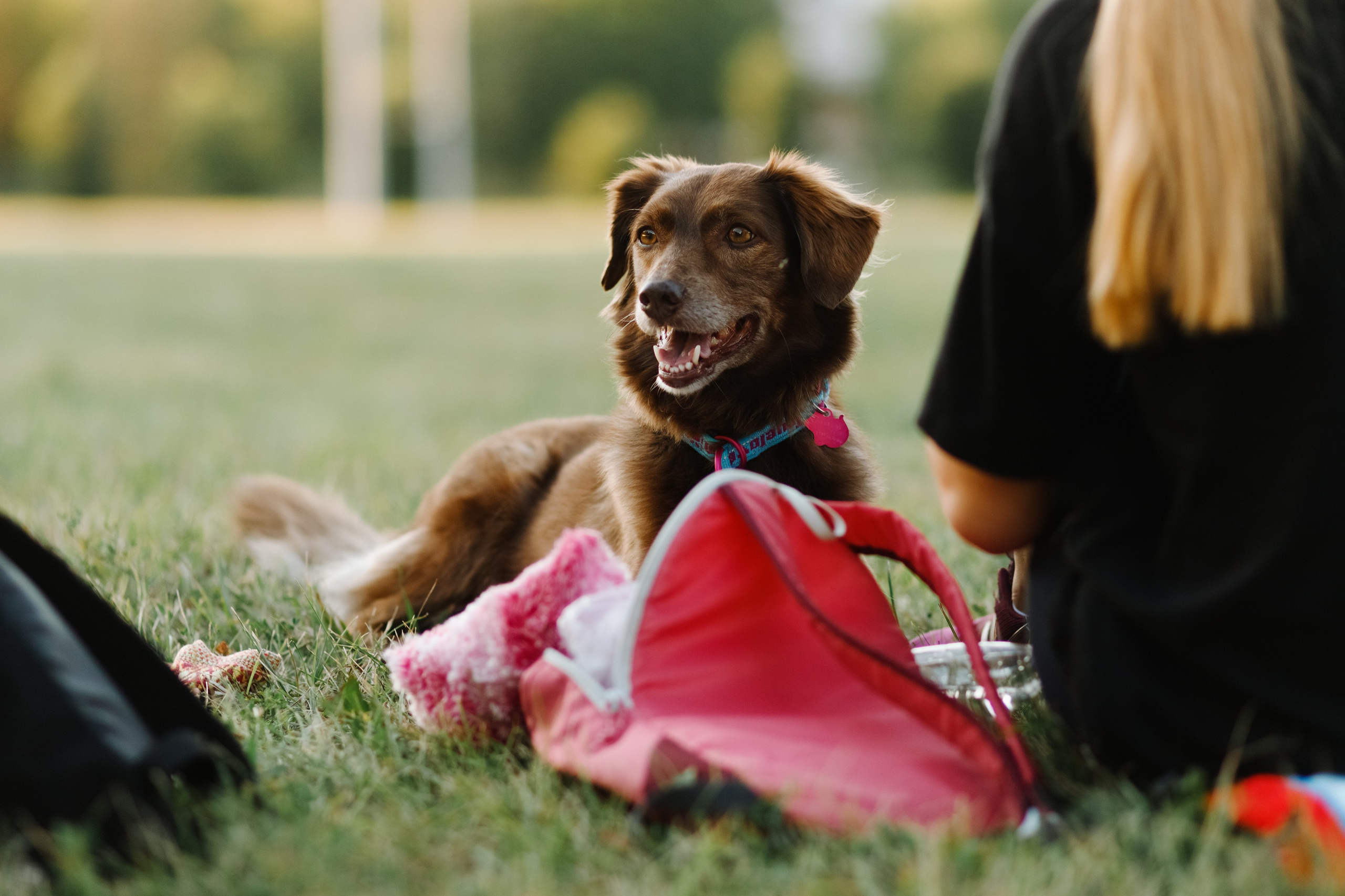 Frisbee workshop of Darya Lukina. Kaja | fotograf we Wrocławiu | ludzie i psy