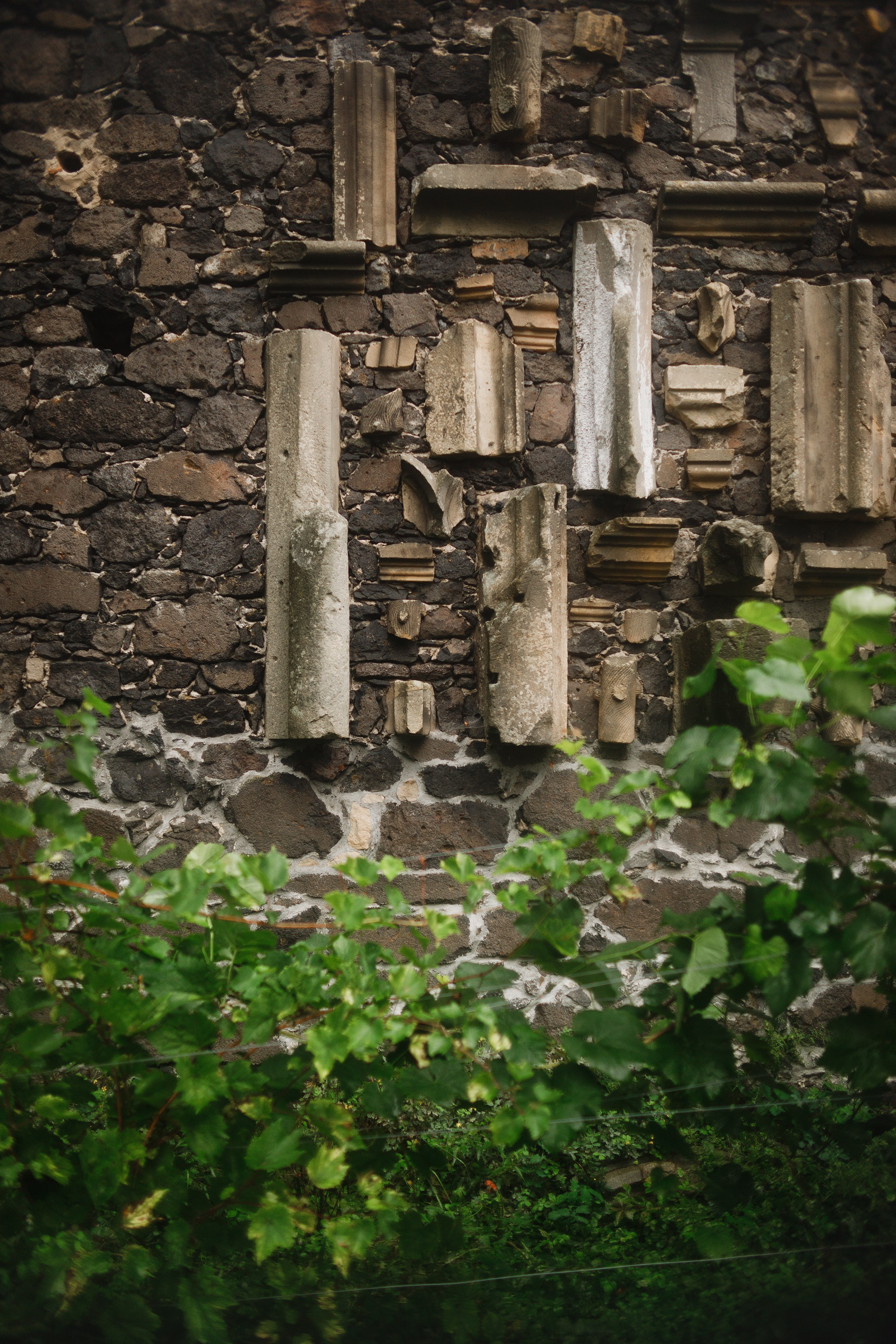 Zamek Grodziec. Kaja | fotograf psów we Wrocławiu