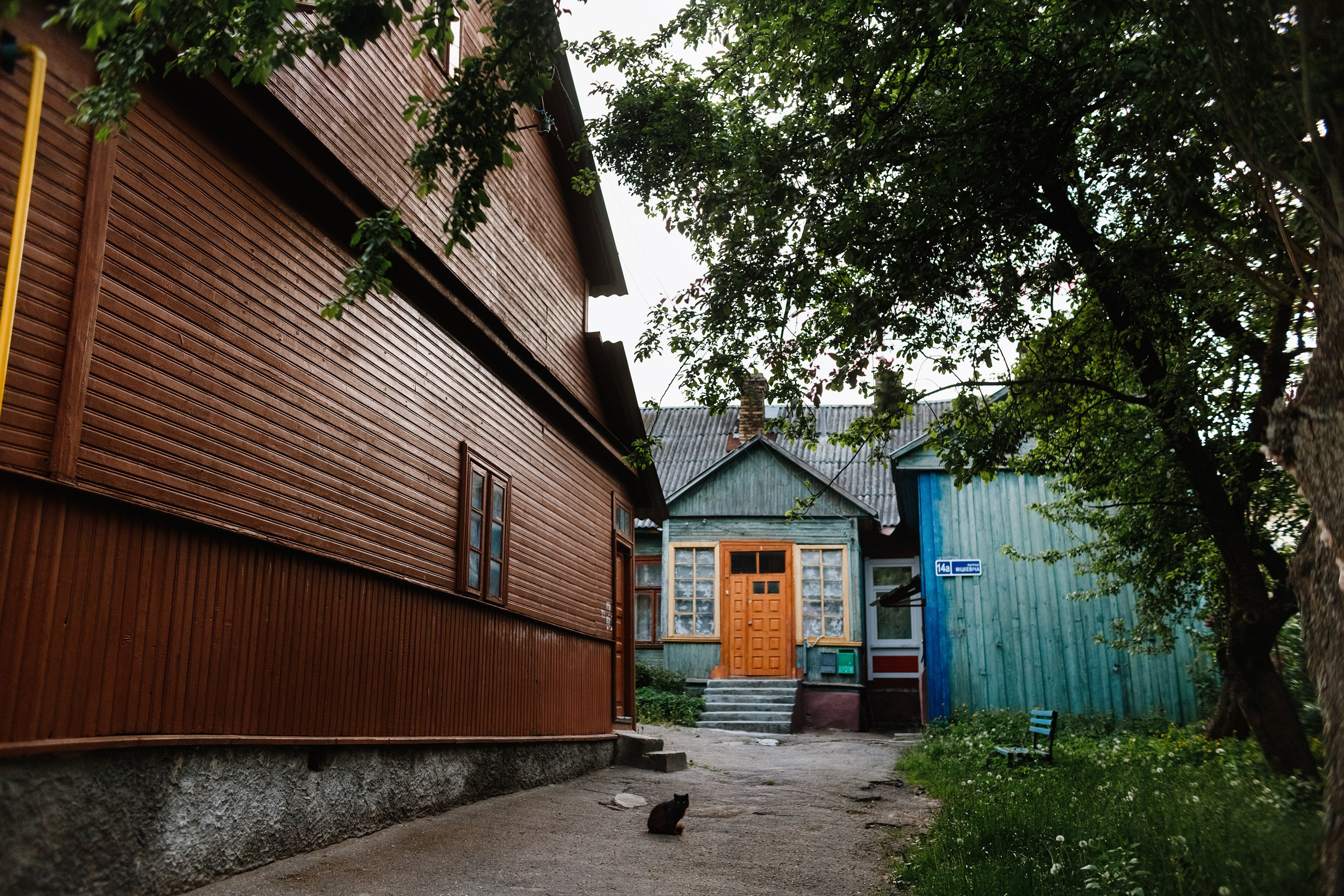 Grodno. Kaja | fotograf we Wrocławiu | ludzie i psy