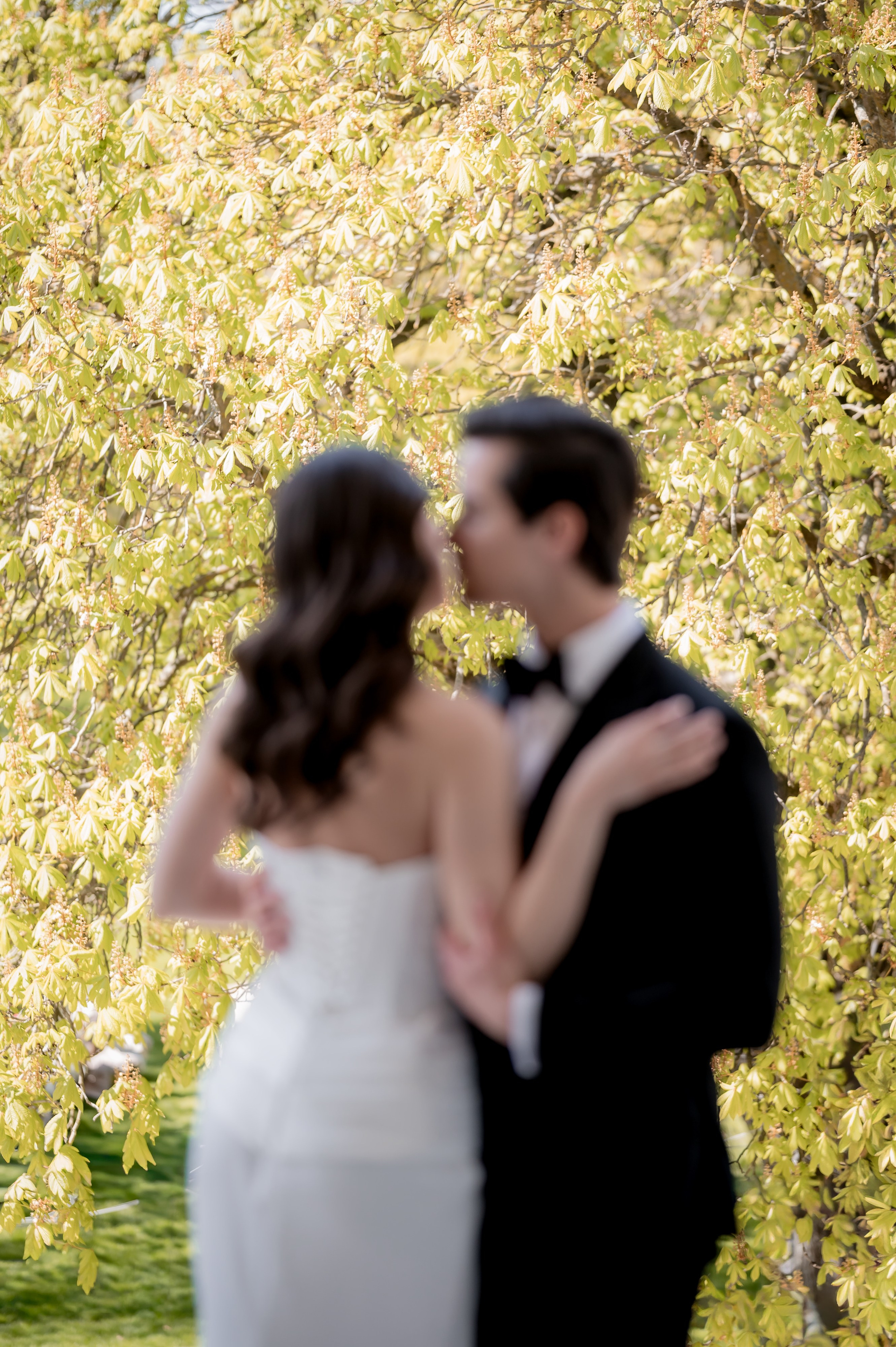 Claudia & Mihai Wedding | Elegant Love Story
