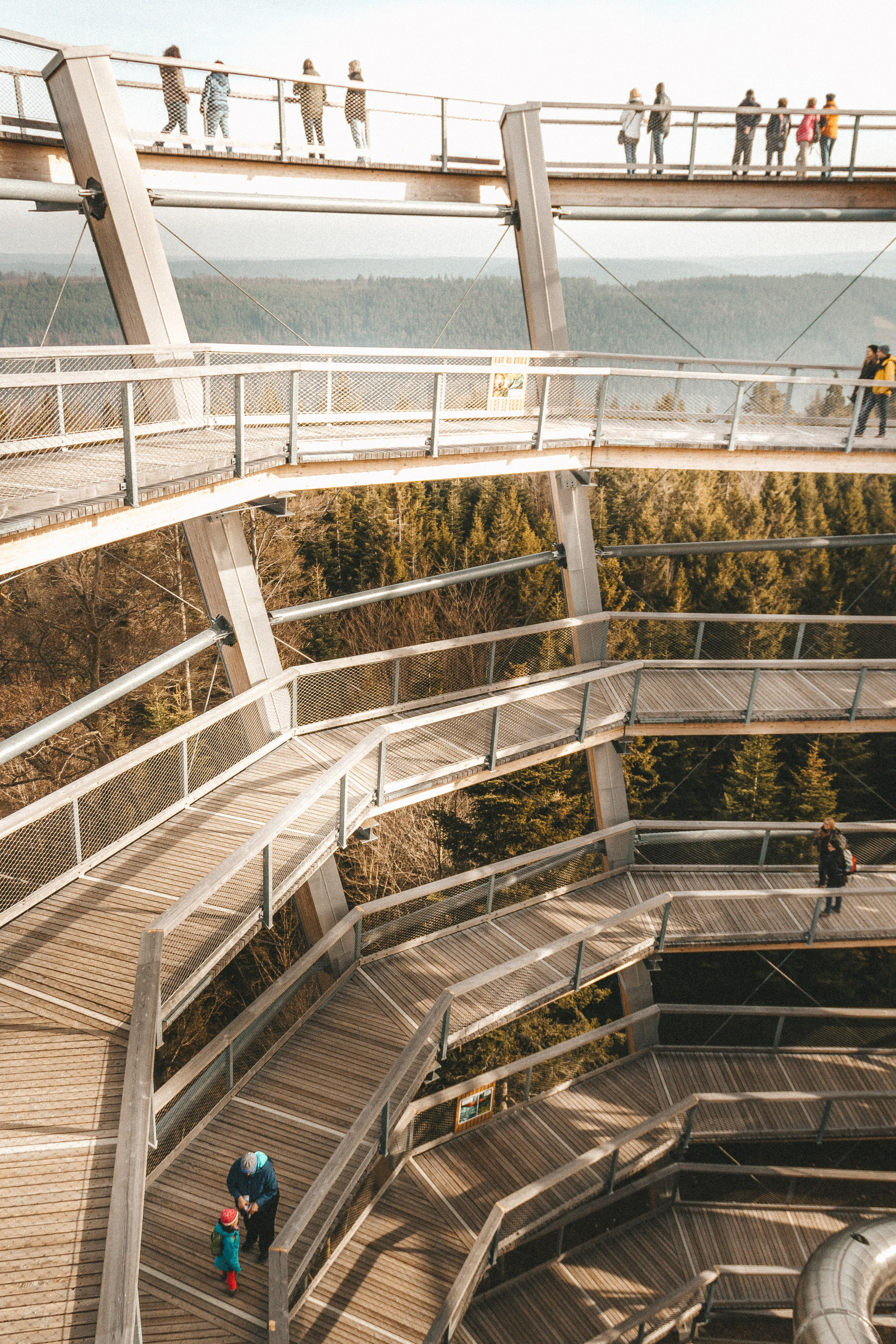 Baumwipfelpfad in Bad Wildbad. Maria Chistyakovа — Fotografin in Karlsruhe, Baden-Baden und Umgebung