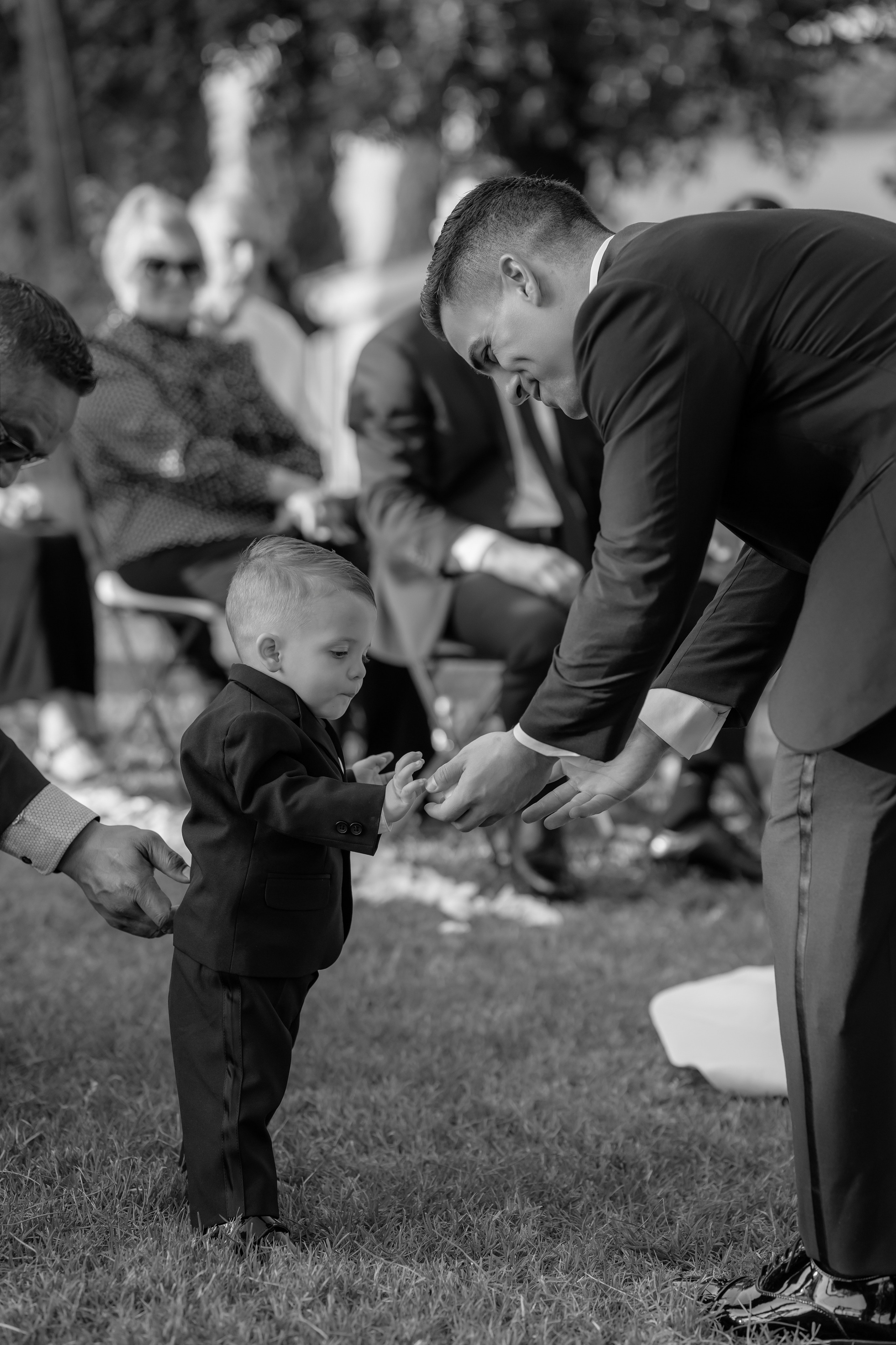 Dom&Ally. Весільний фотограф Вікторія Саврук