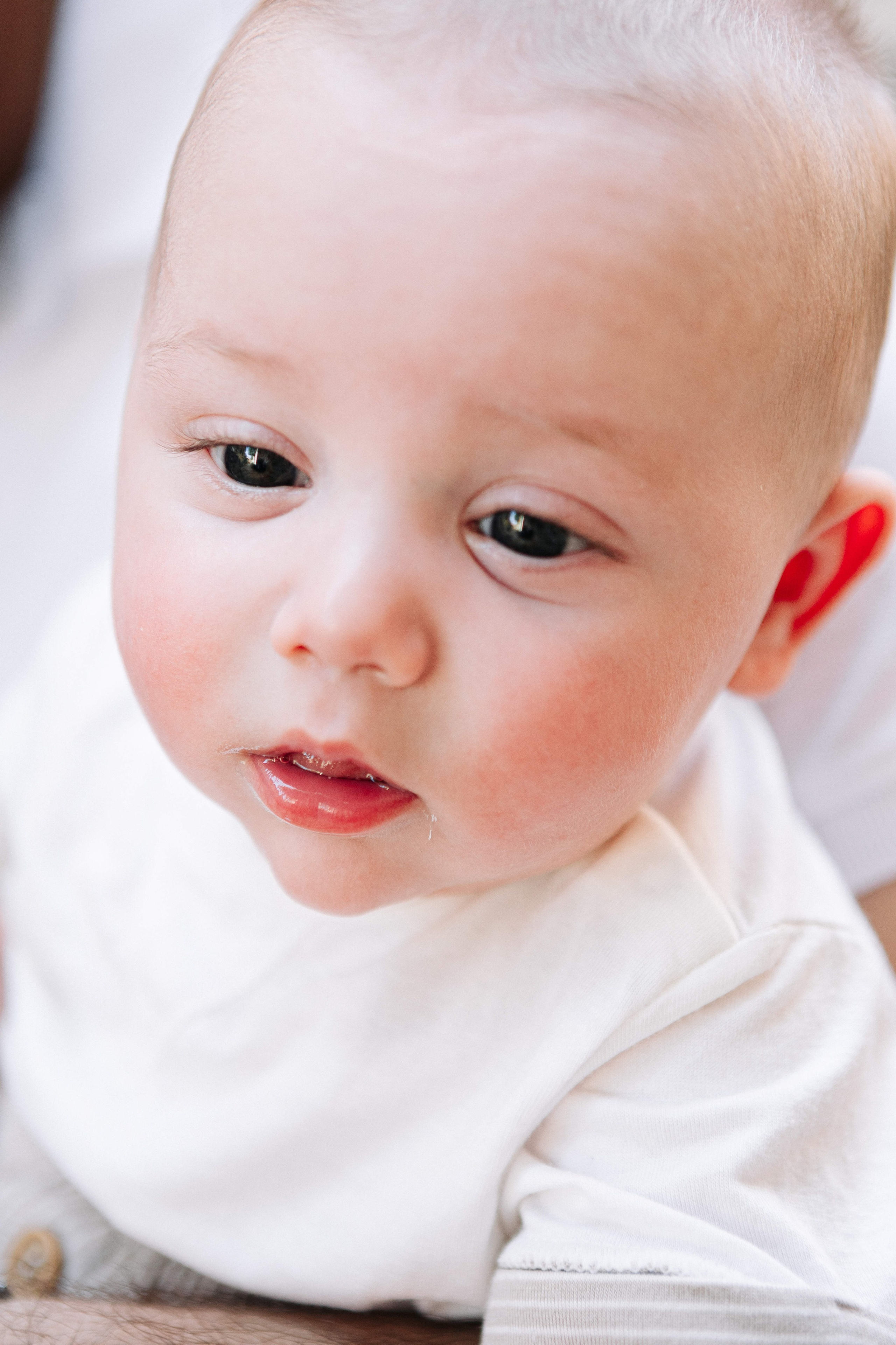 MINI PHOTO SEMMON IN YAMIN MOSHE (MORNING). Https://shi-photo.com/