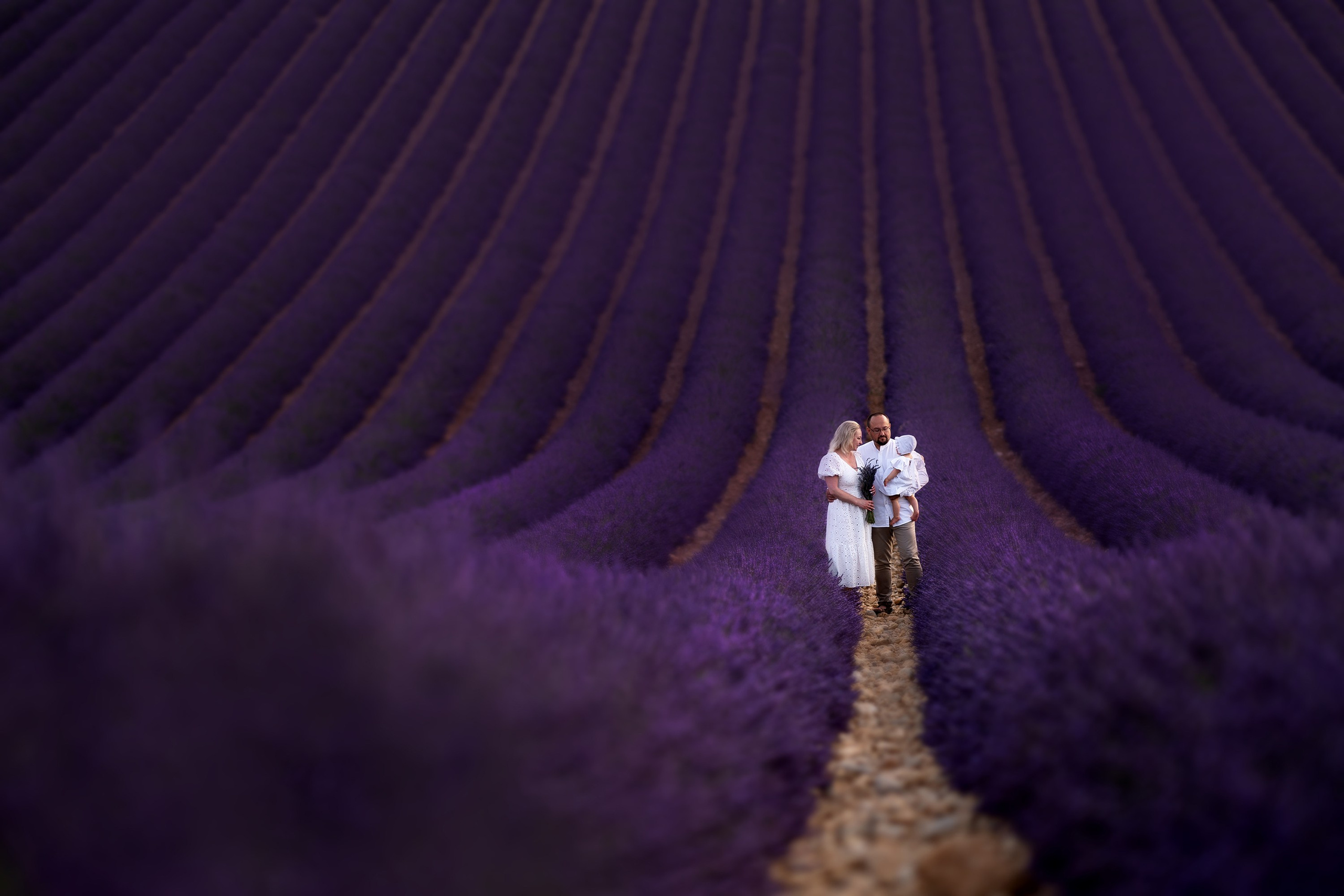 Familie. Hochzeit und Familien Foto und Video